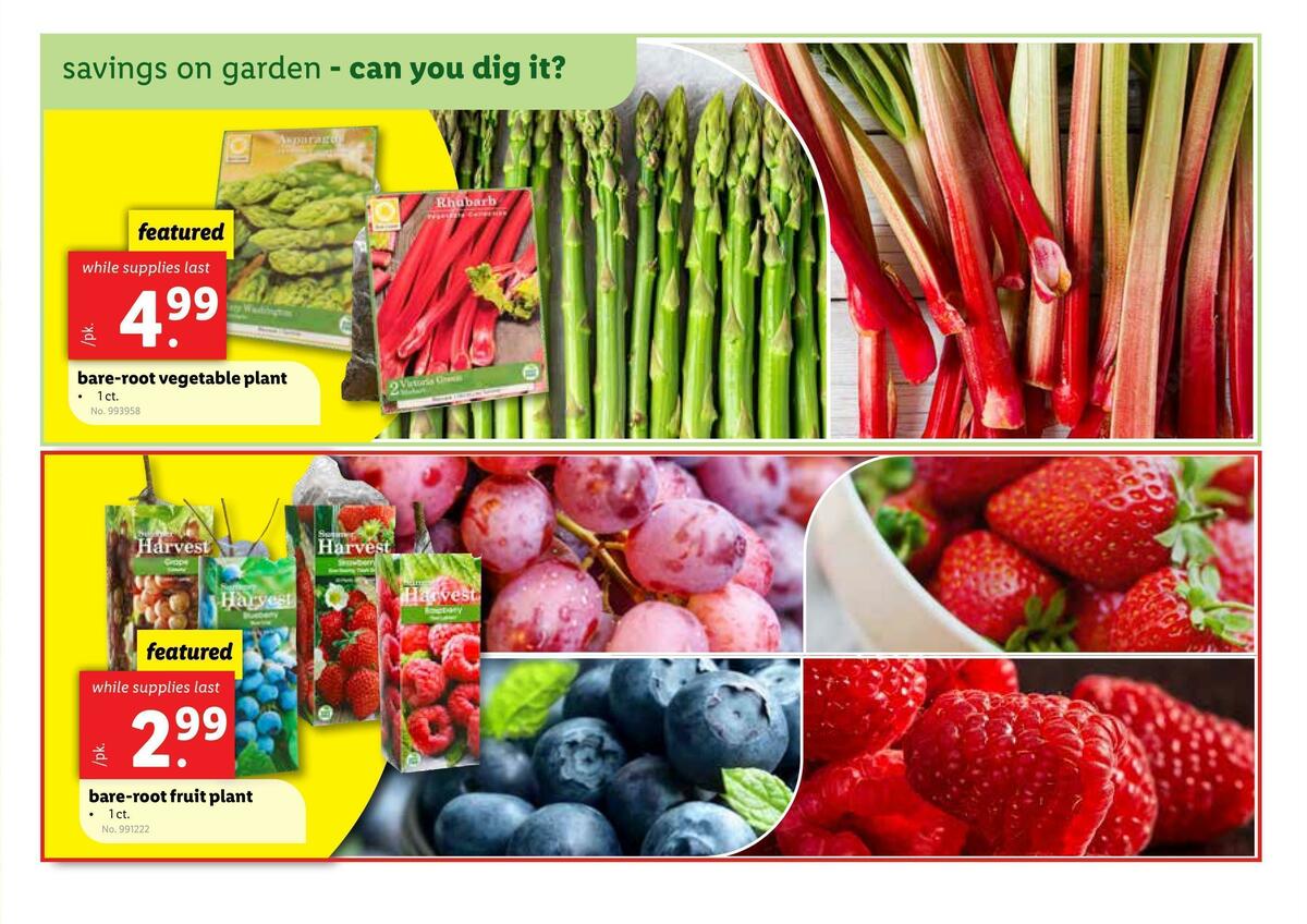 LIDL Weekly Ad from March 29