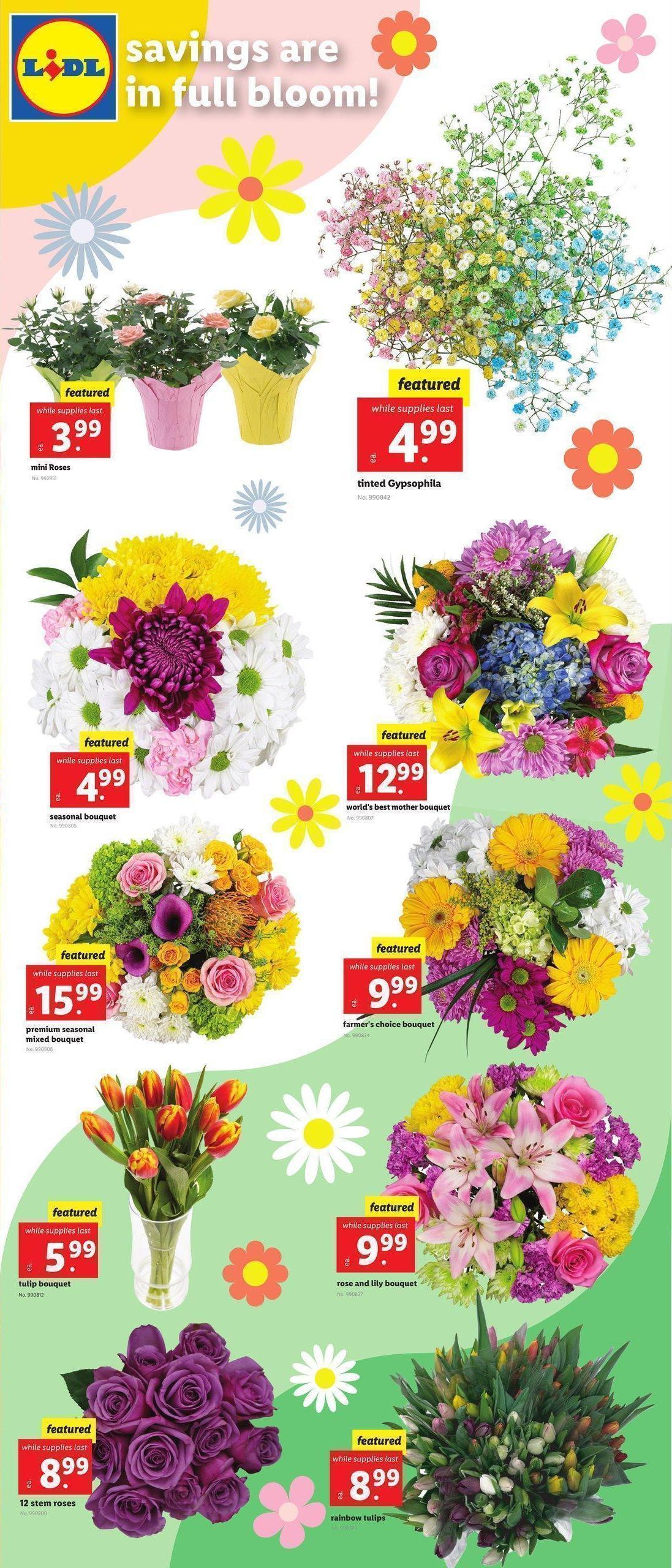 LIDL Weekly Ad from April 5