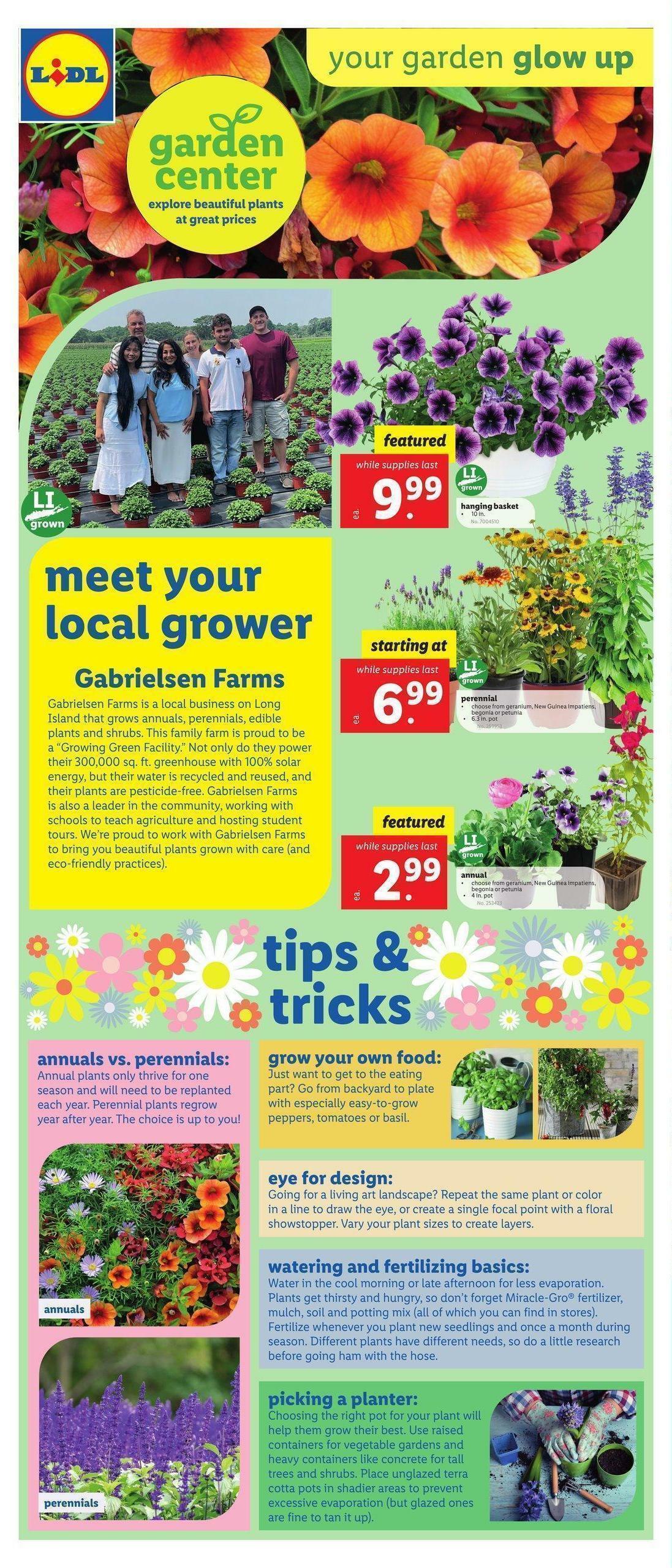 LIDL Weekly Ad from April 19