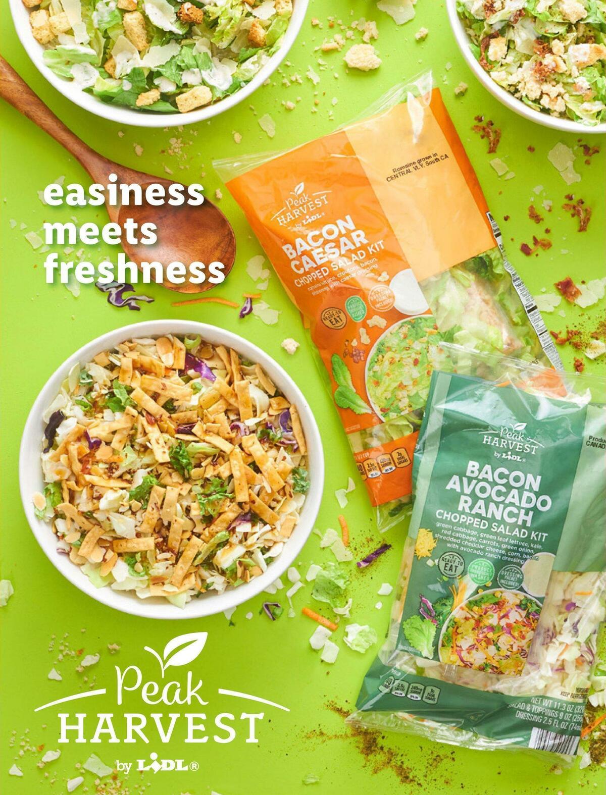 LIDL Late Spring Weekly Ad from April 26