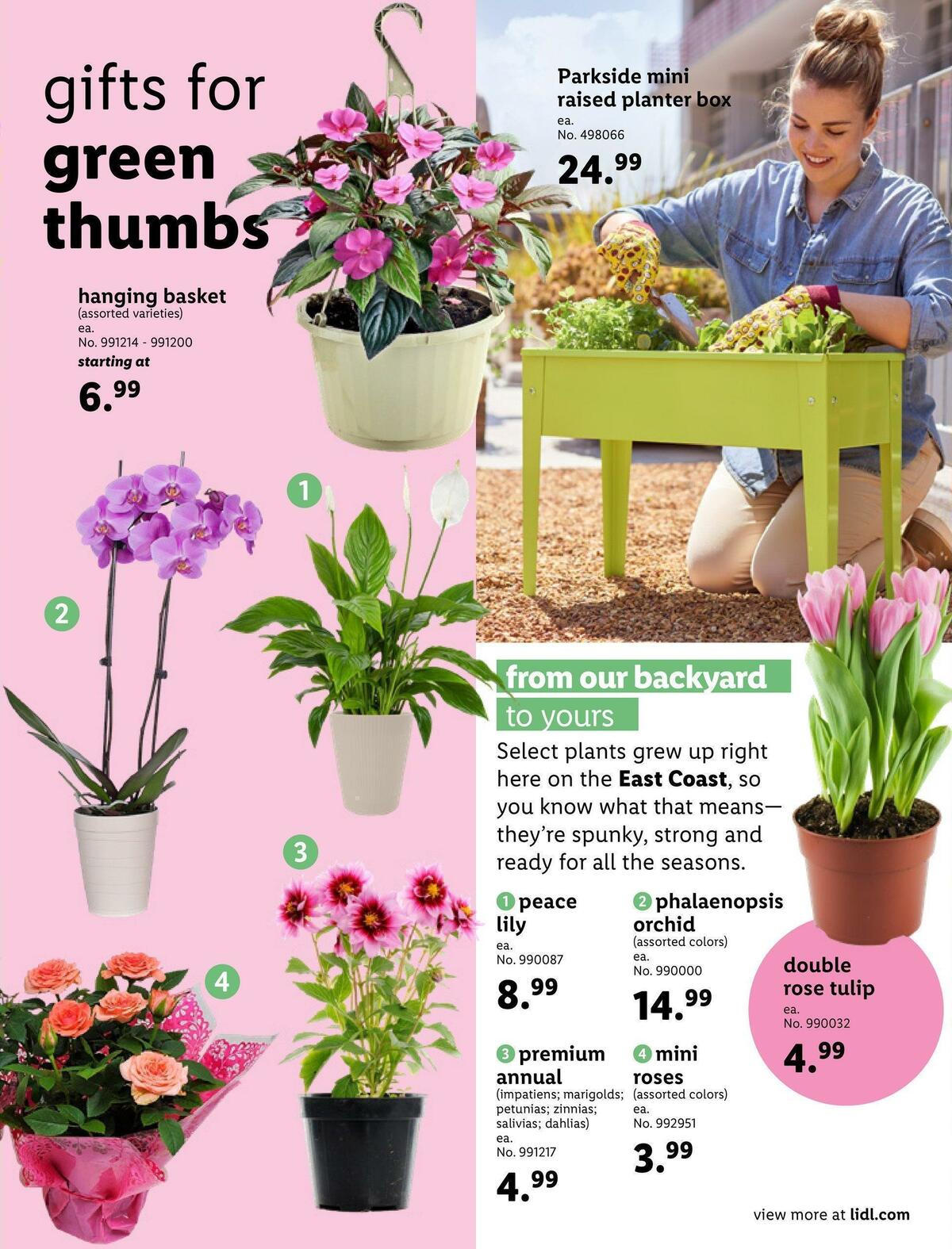 LIDL Late Spring Weekly Ad from April 26