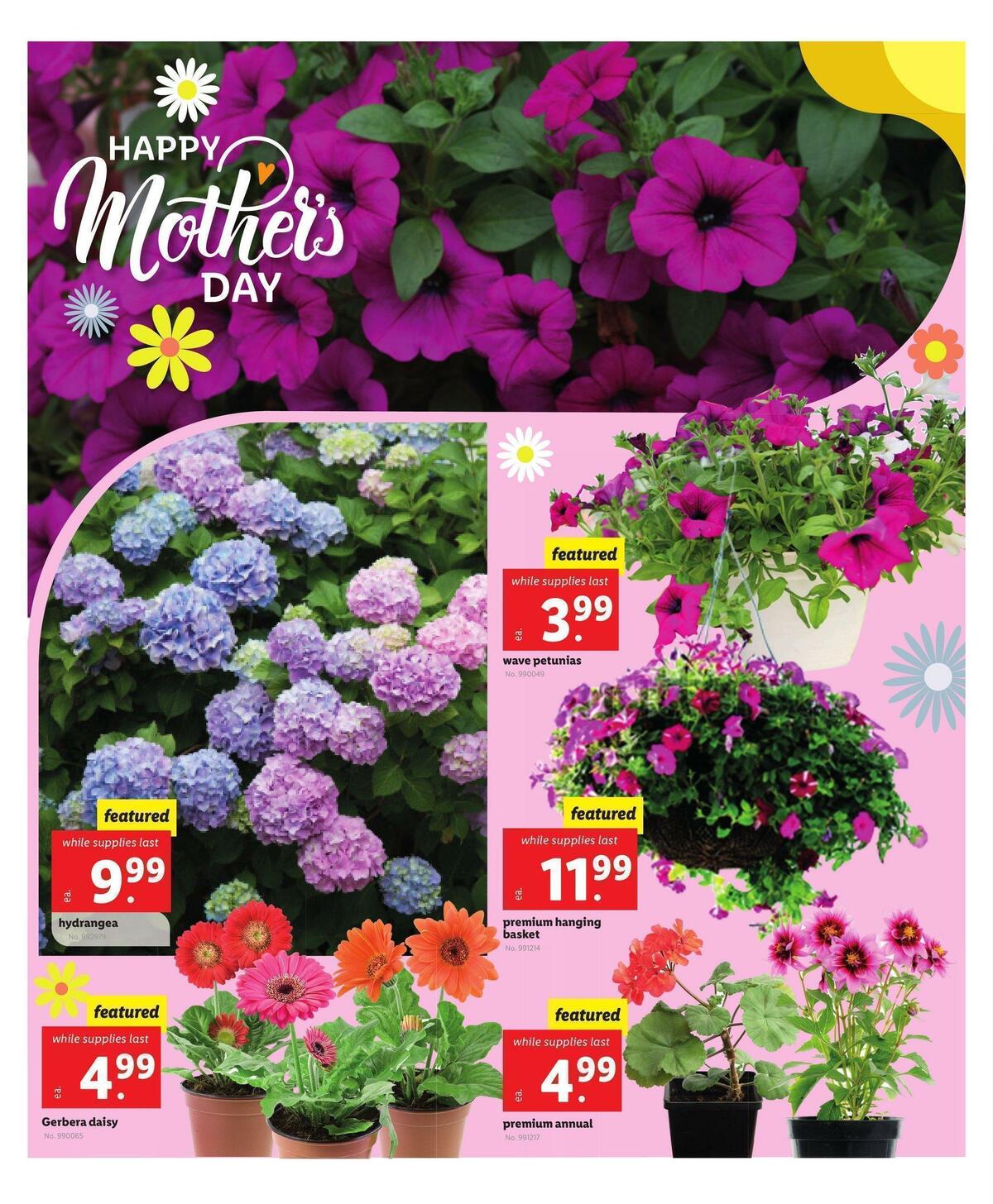 LIDL Weekly Ad from May 10