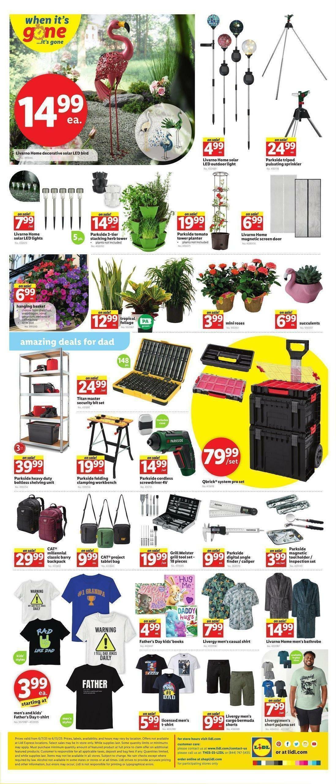 LIDL Weekly Ad from June 7