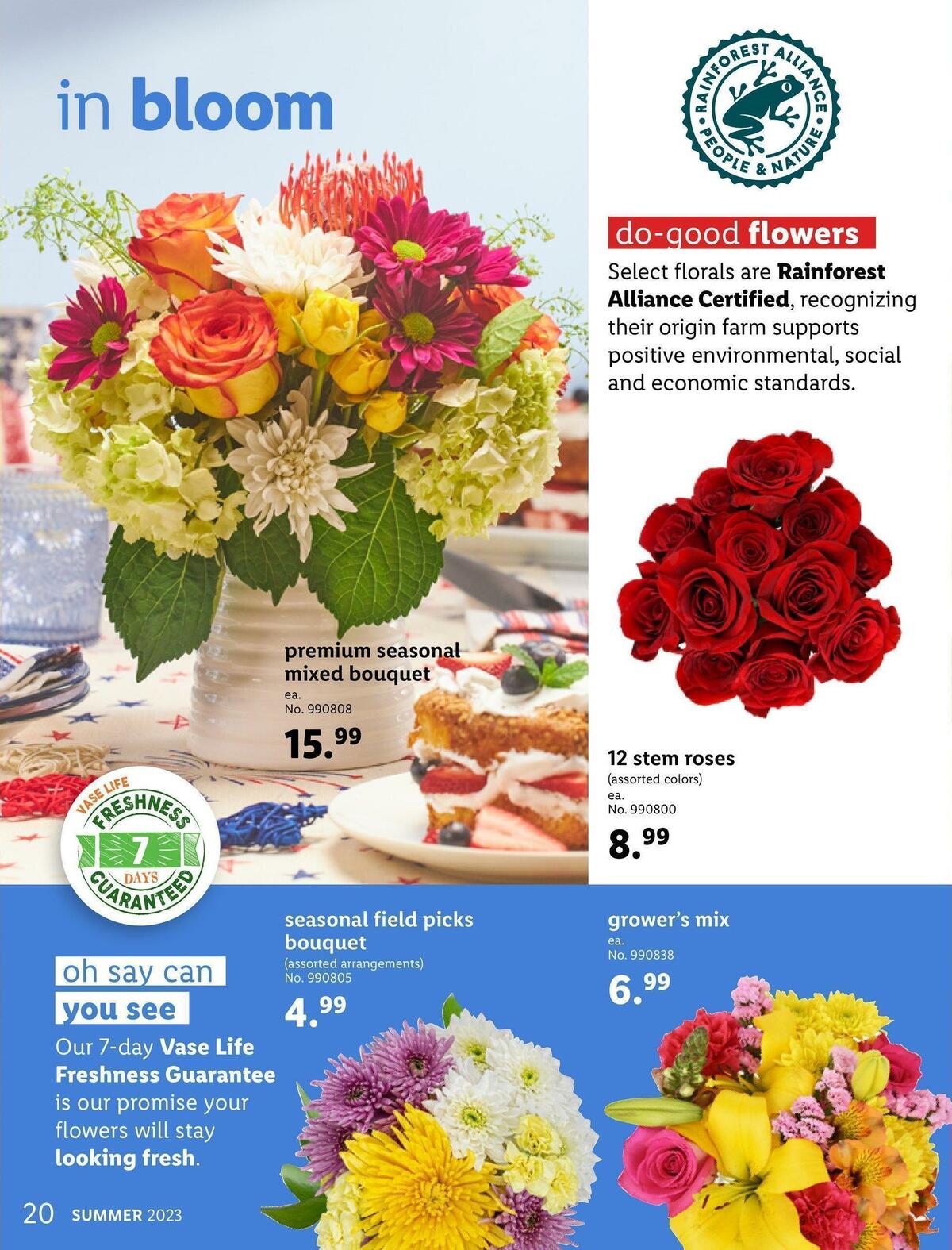 LIDL Summer Weekly Ad from May 31