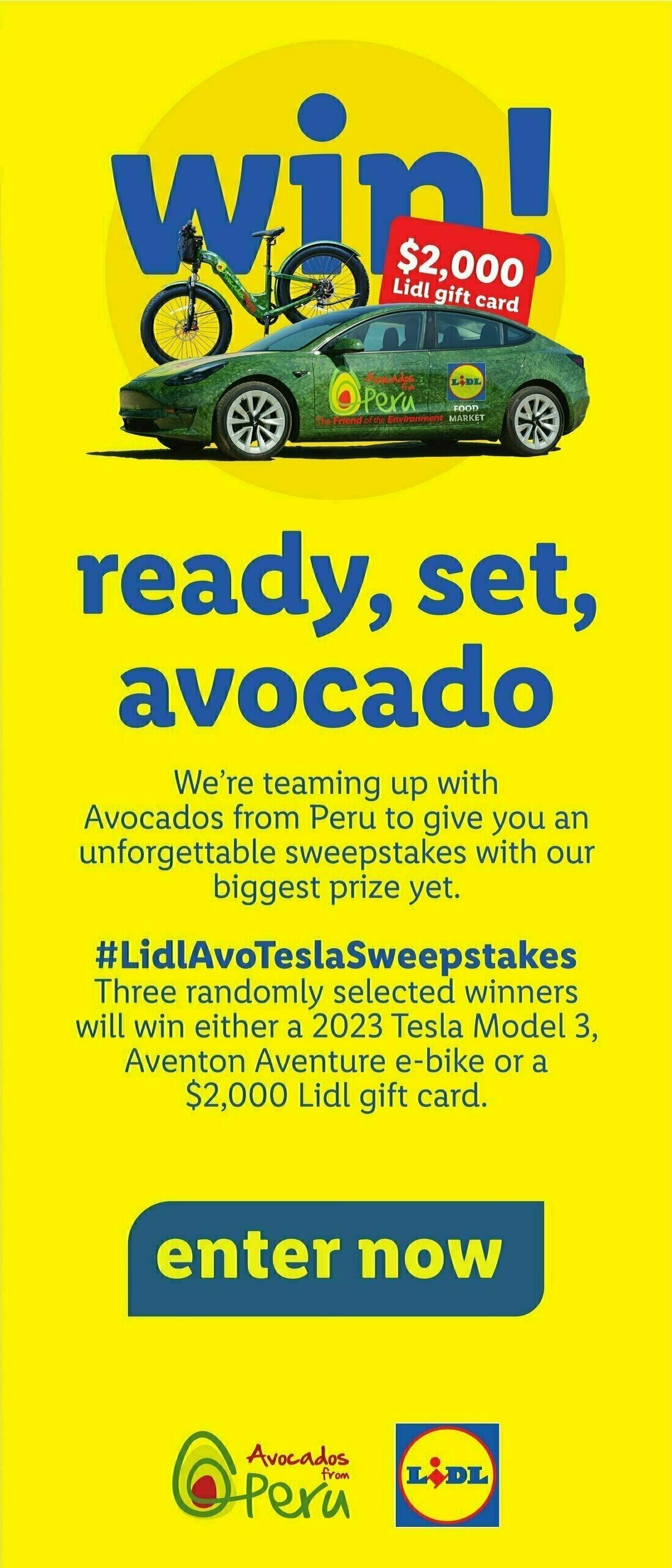 LIDL Weekly Ad from August 9