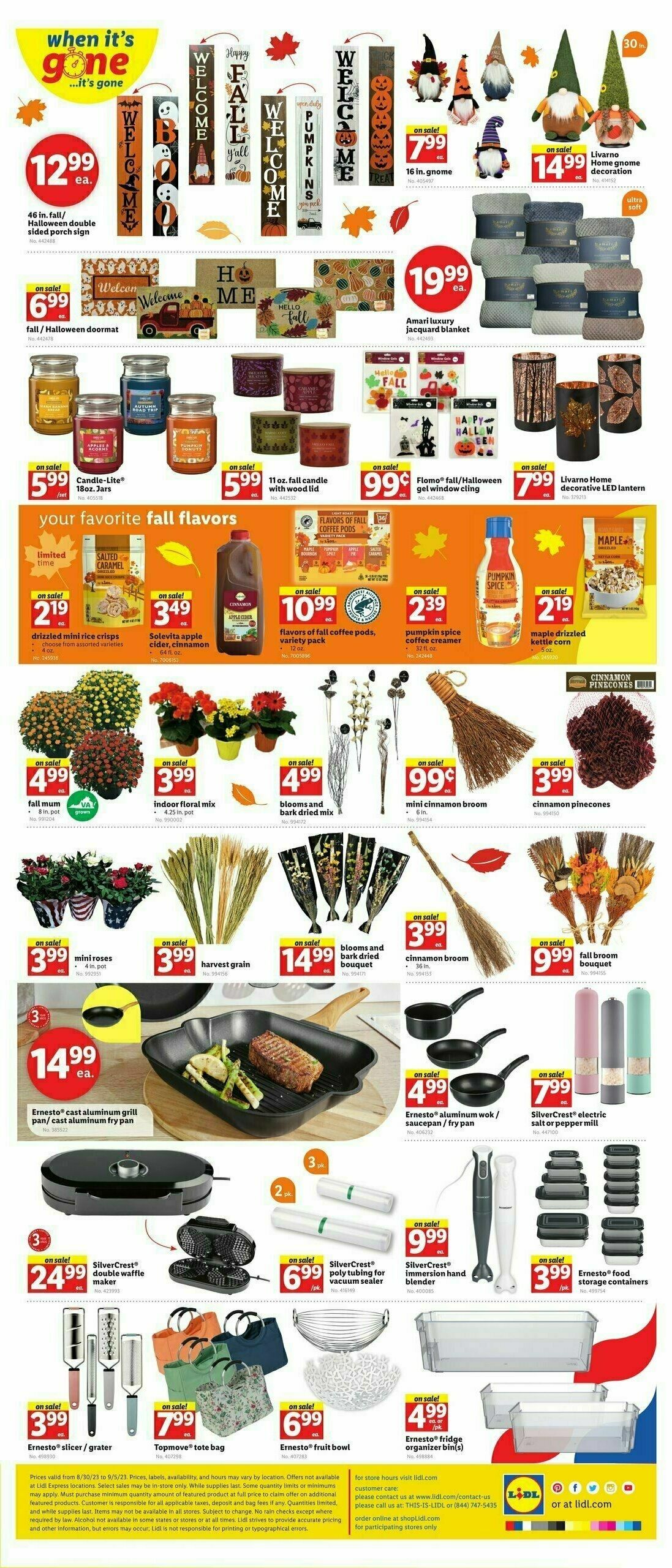 LIDL Weekly Ad from August 30