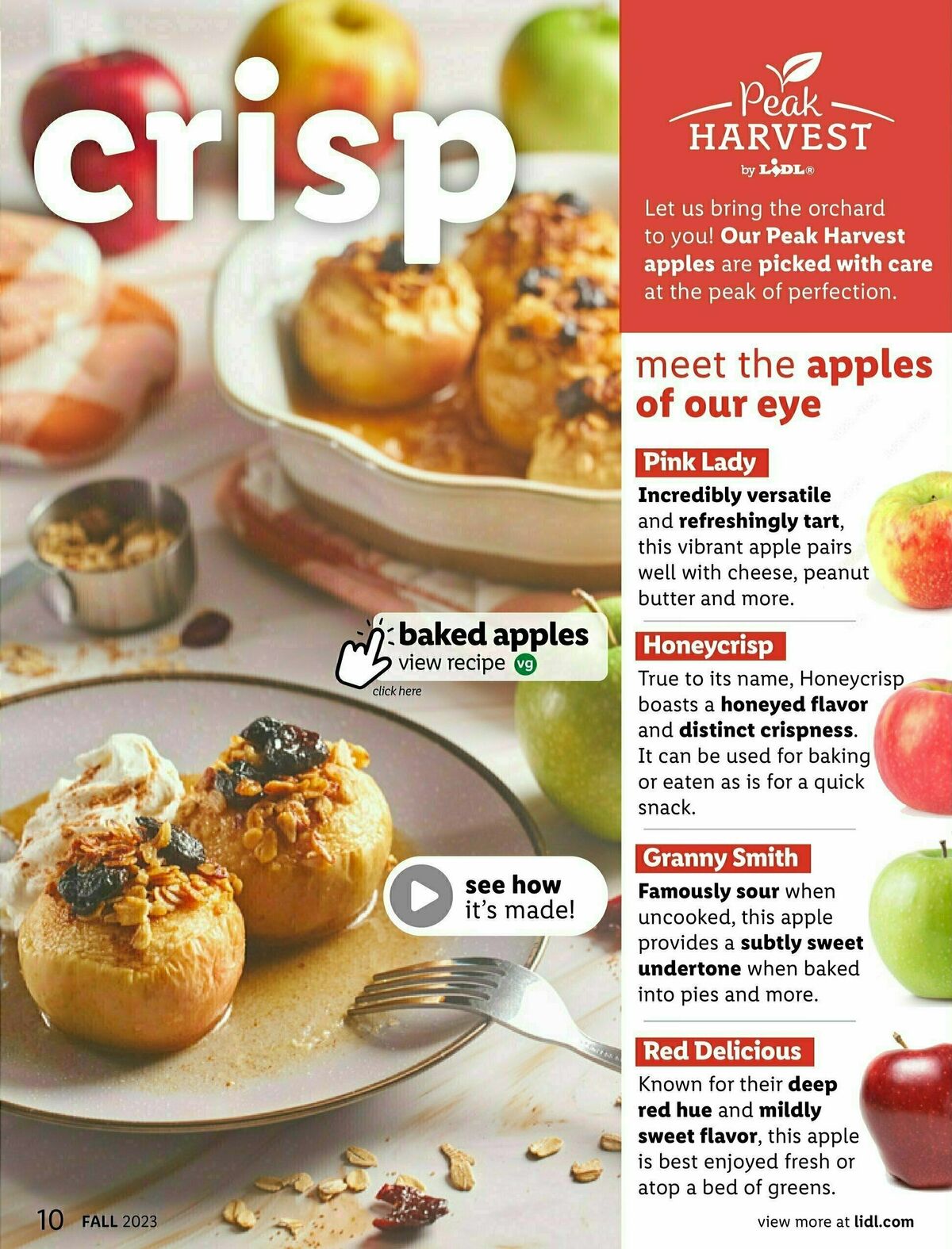 LIDL Fall + Halloween Weekly Ad from August 30