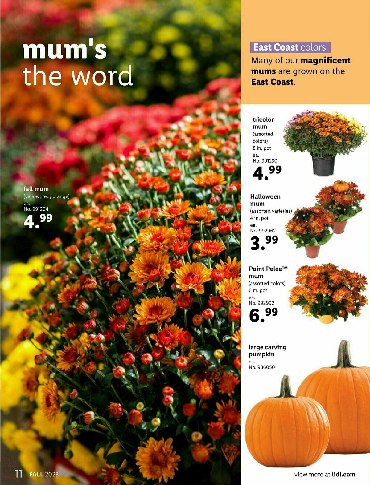 LIDL Fall + Halloween Weekly Ad from August 30