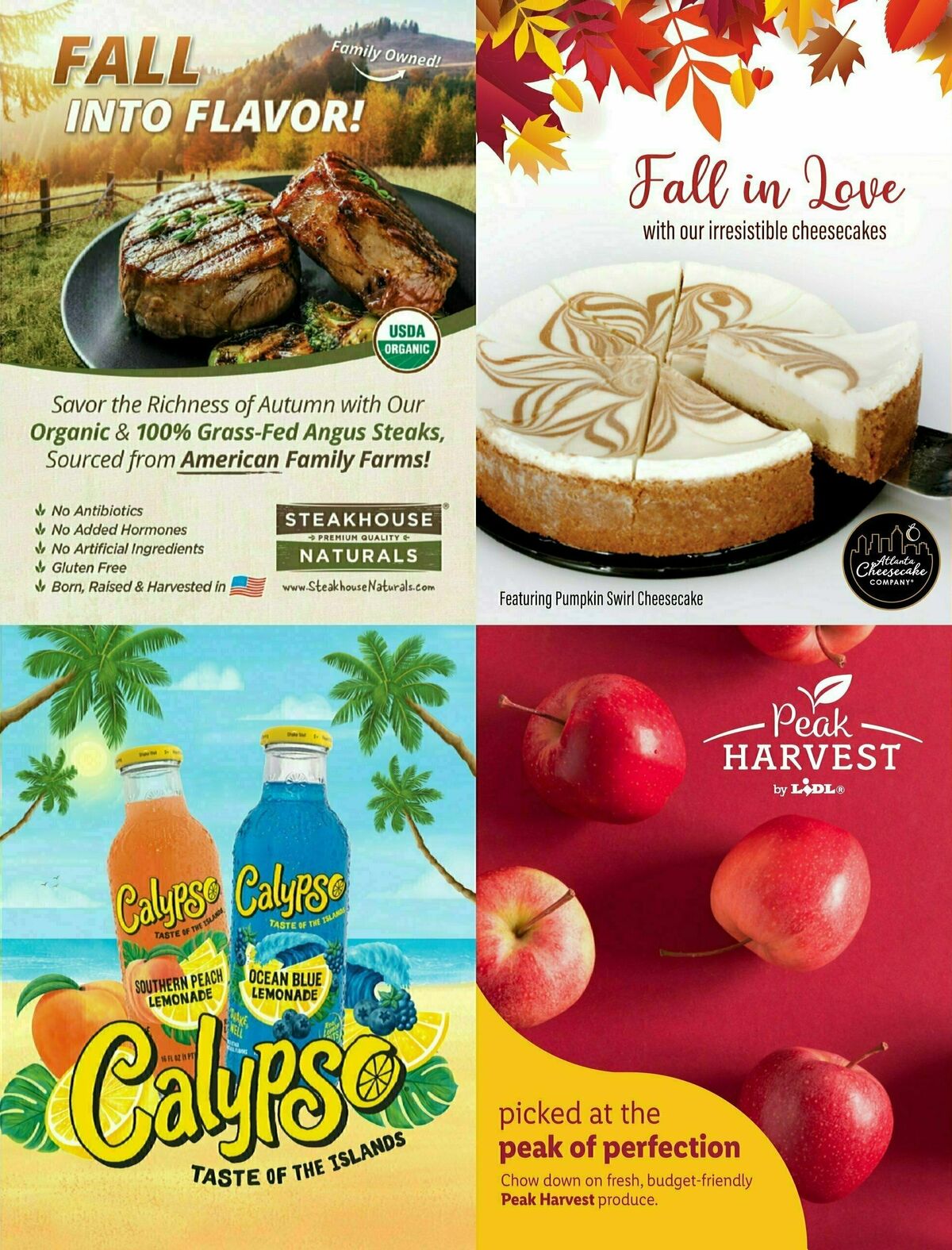 LIDL Fall + Halloween Weekly Ad from August 30