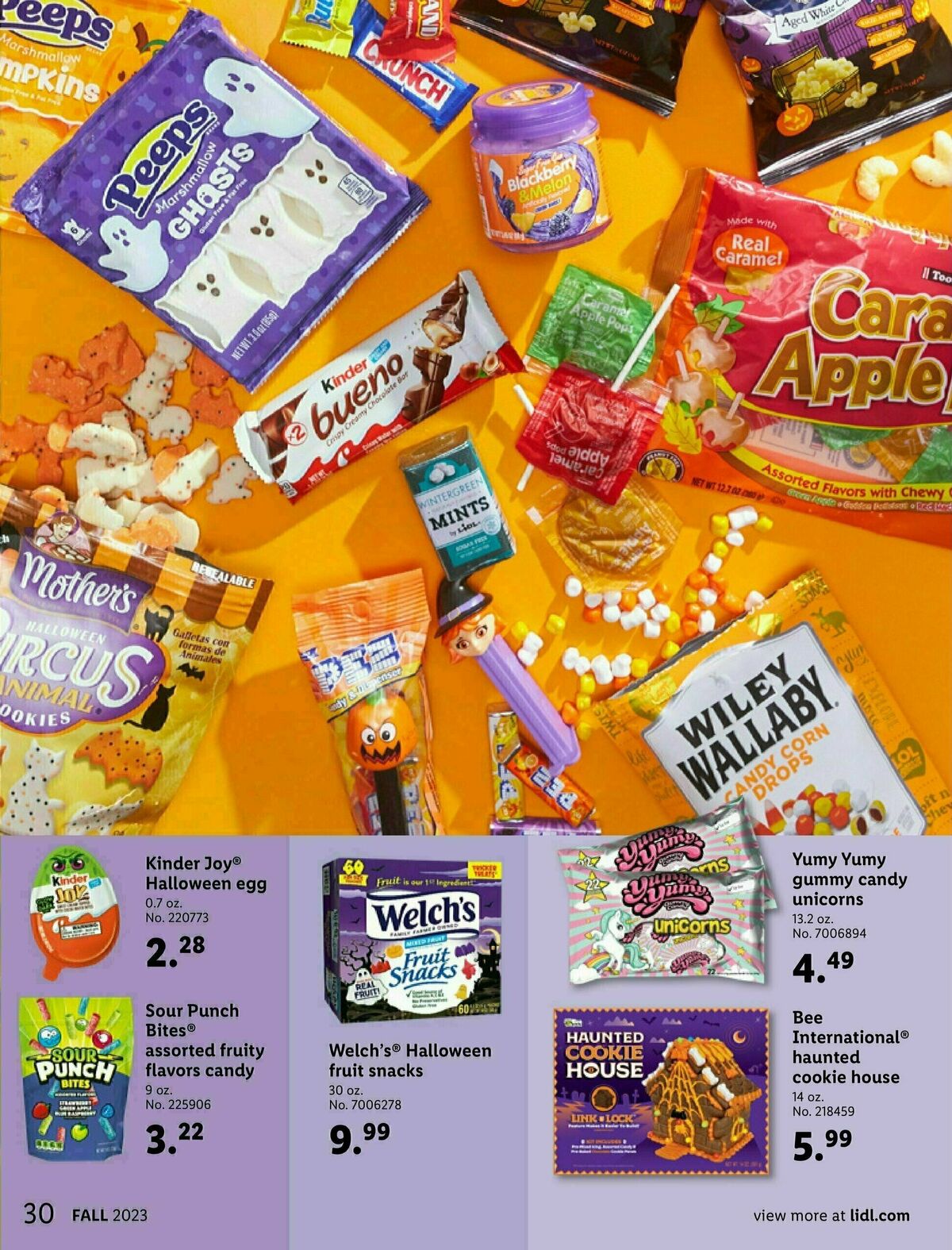 LIDL Fall + Halloween Weekly Ad from August 30
