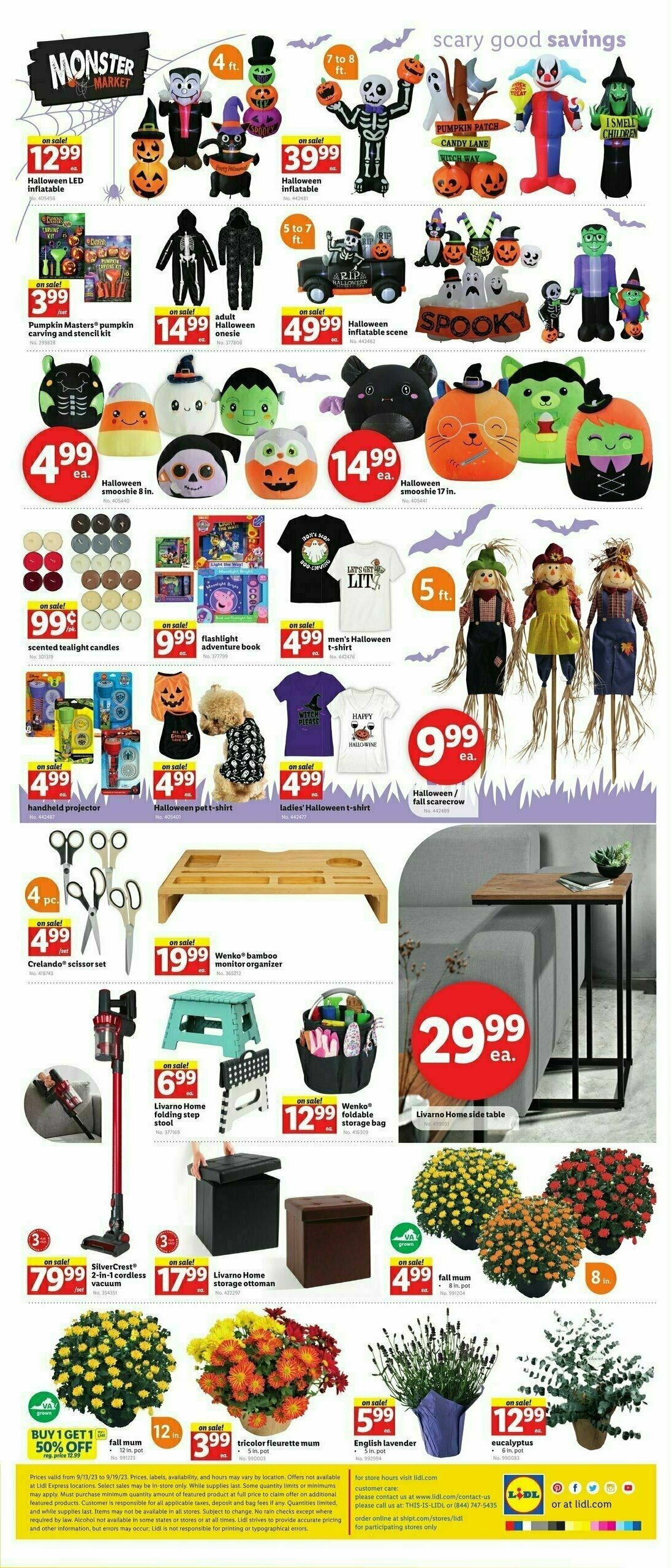 LIDL Weekly Ad from September 13