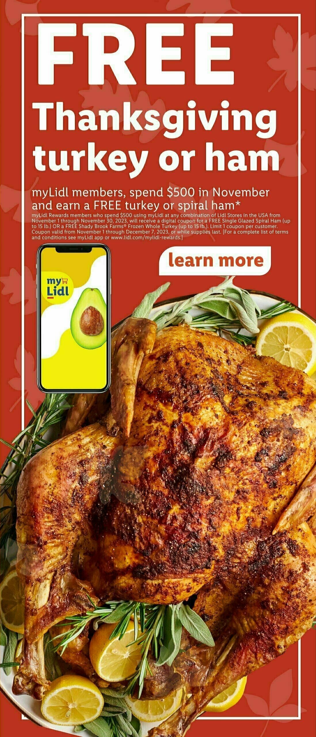 LIDL Weekly Ad from November 15