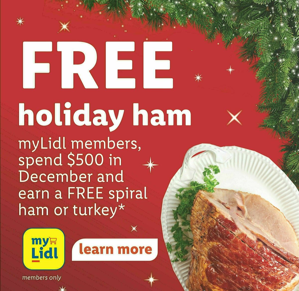 LIDL Weekly Ad from December 13