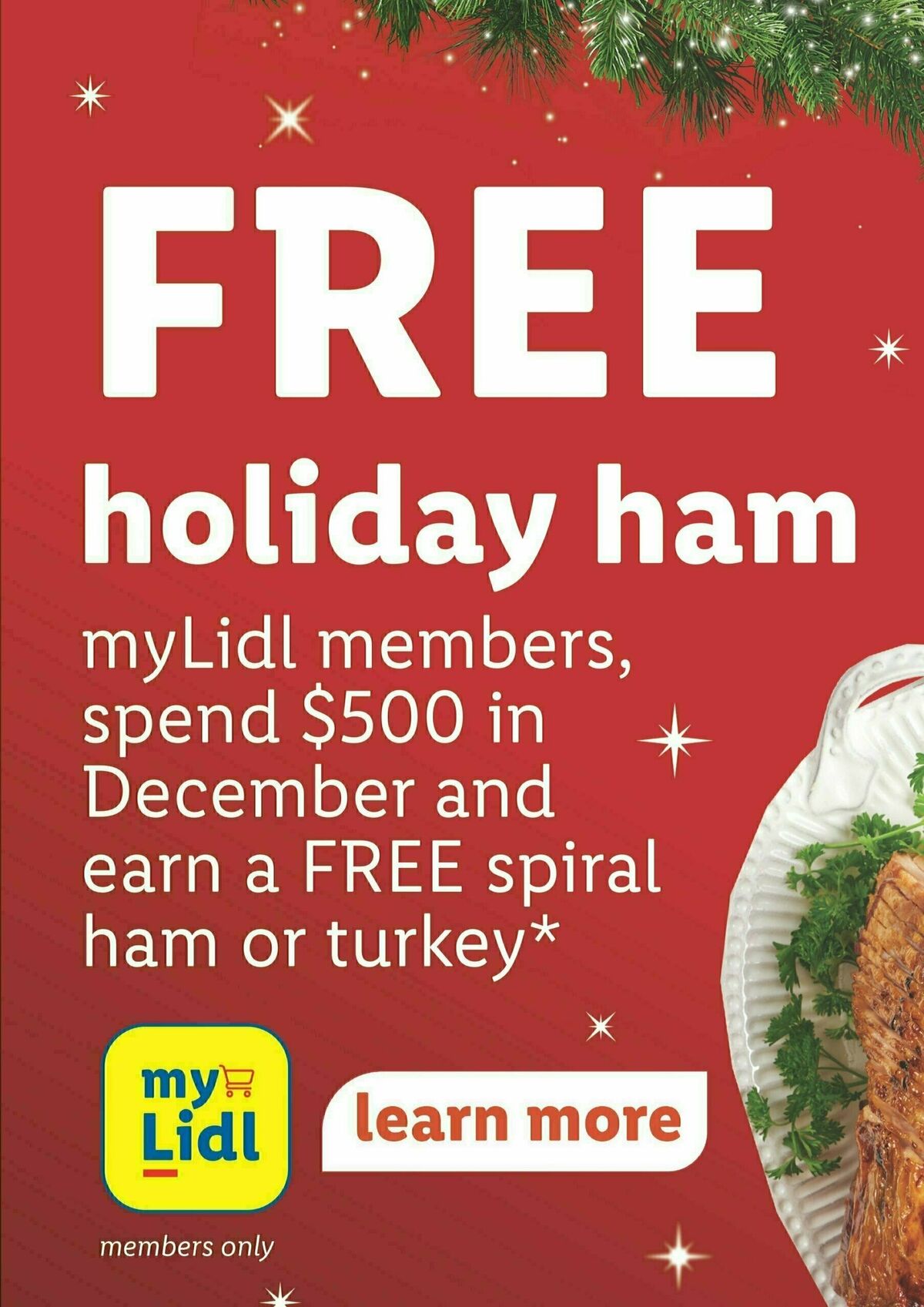 LIDL Weekly Ad from December 20