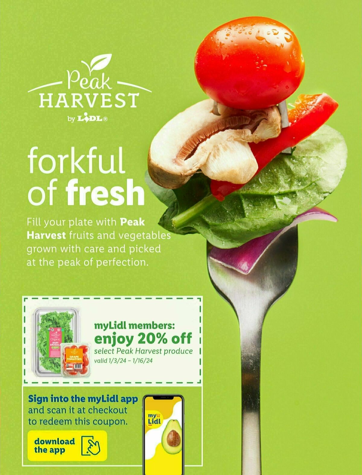 LIDL Magazine Weekly Ad from December 27