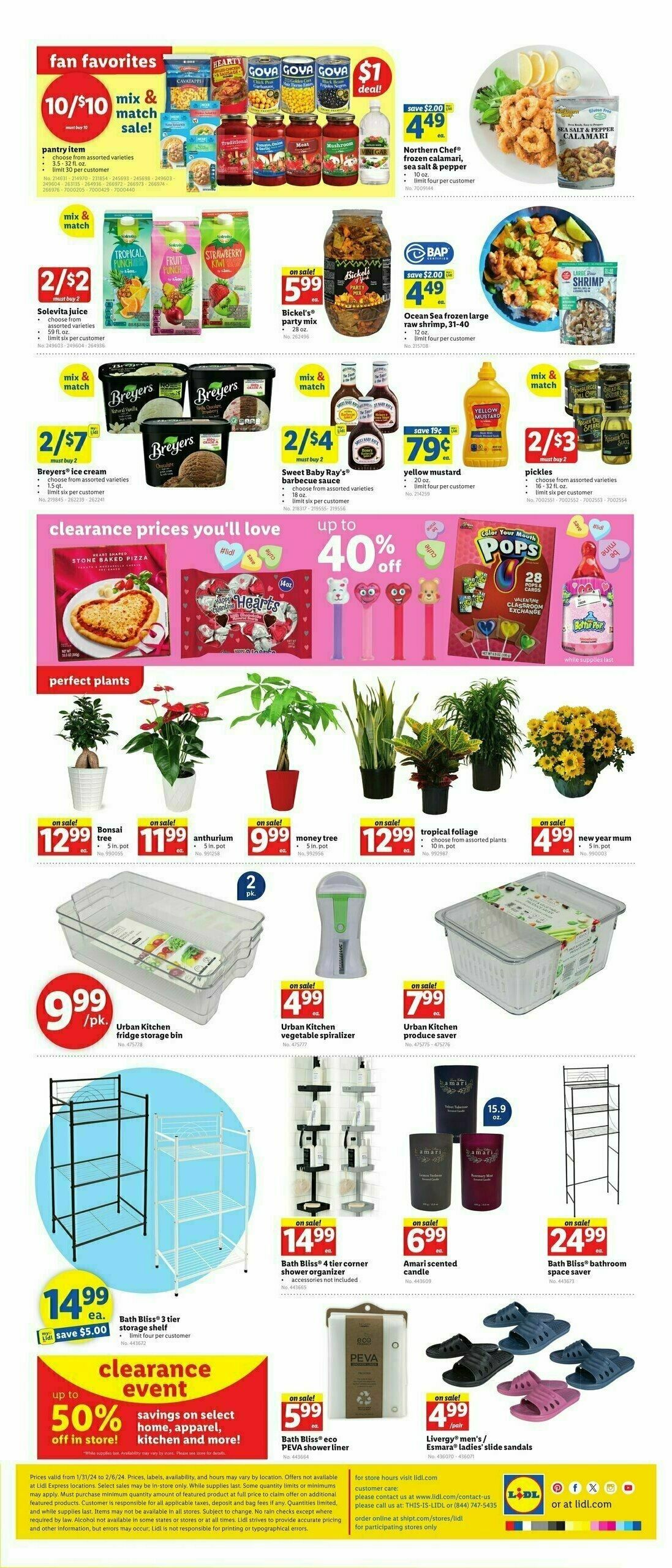 LIDL Weekly Ad from January 31