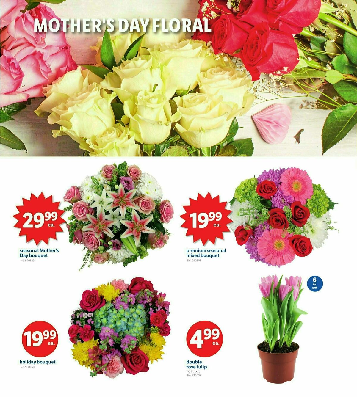 LIDL Weekly Ad from May 9