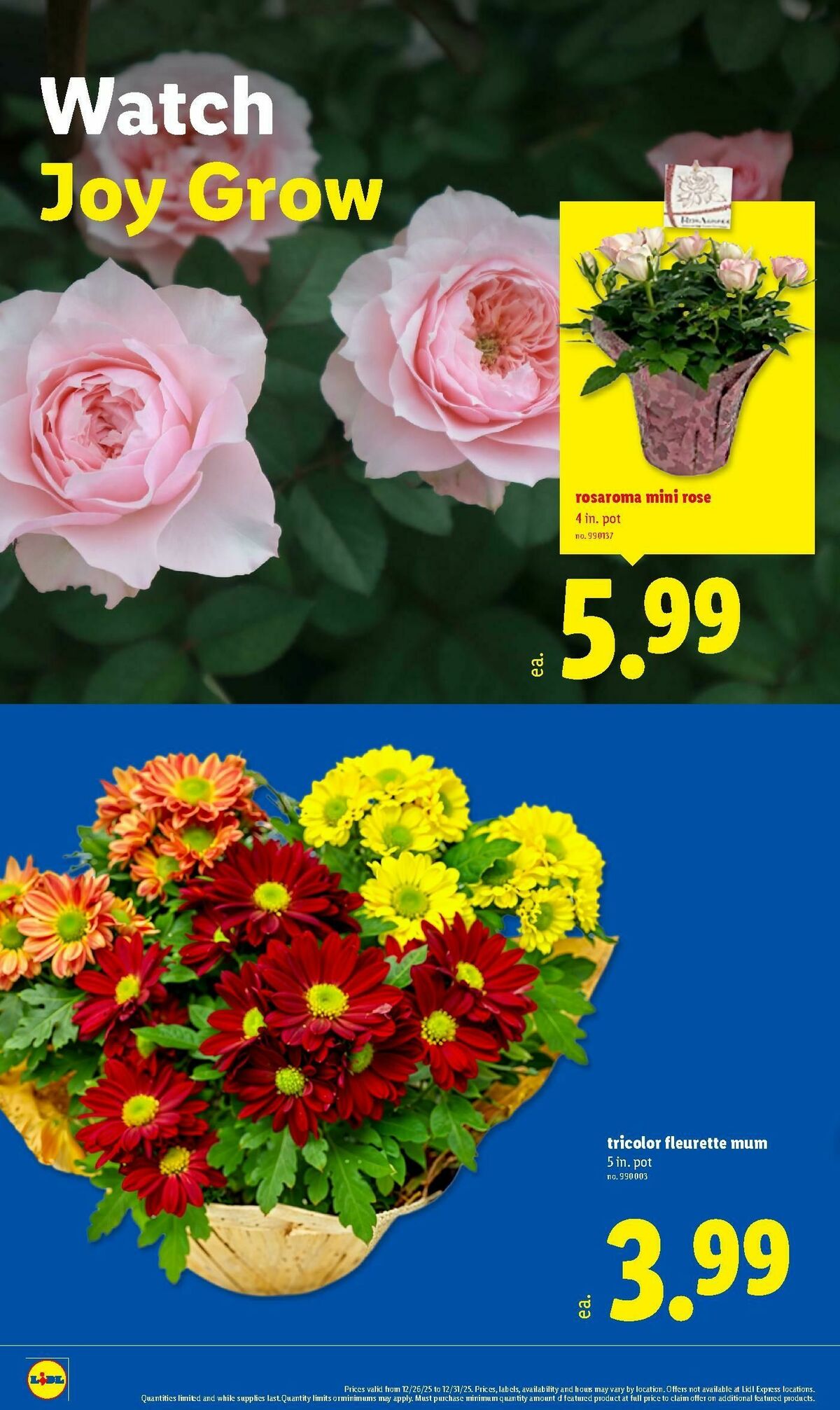 LIDL Weekly Ad from December 26