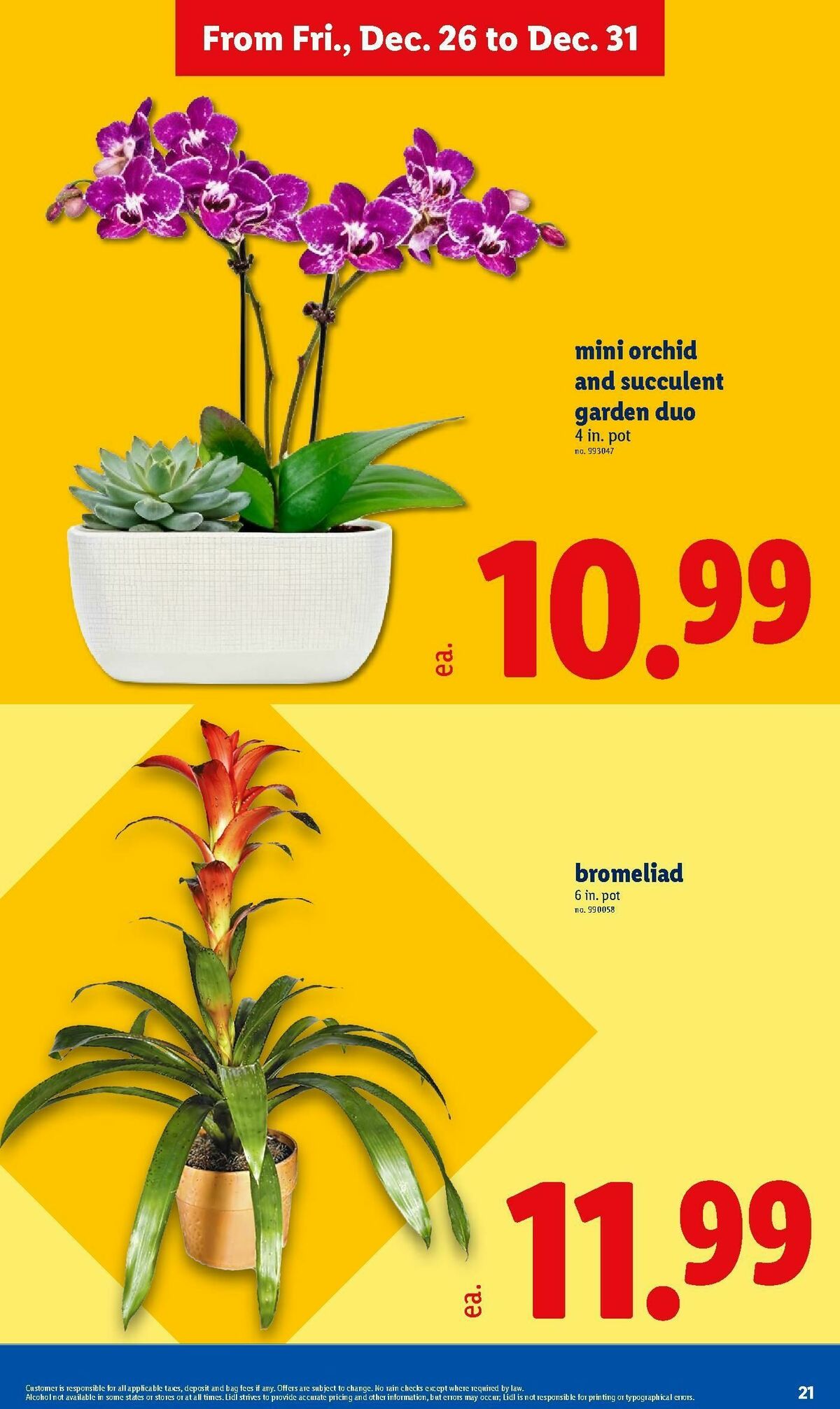 LIDL Weekly Ad from December 26