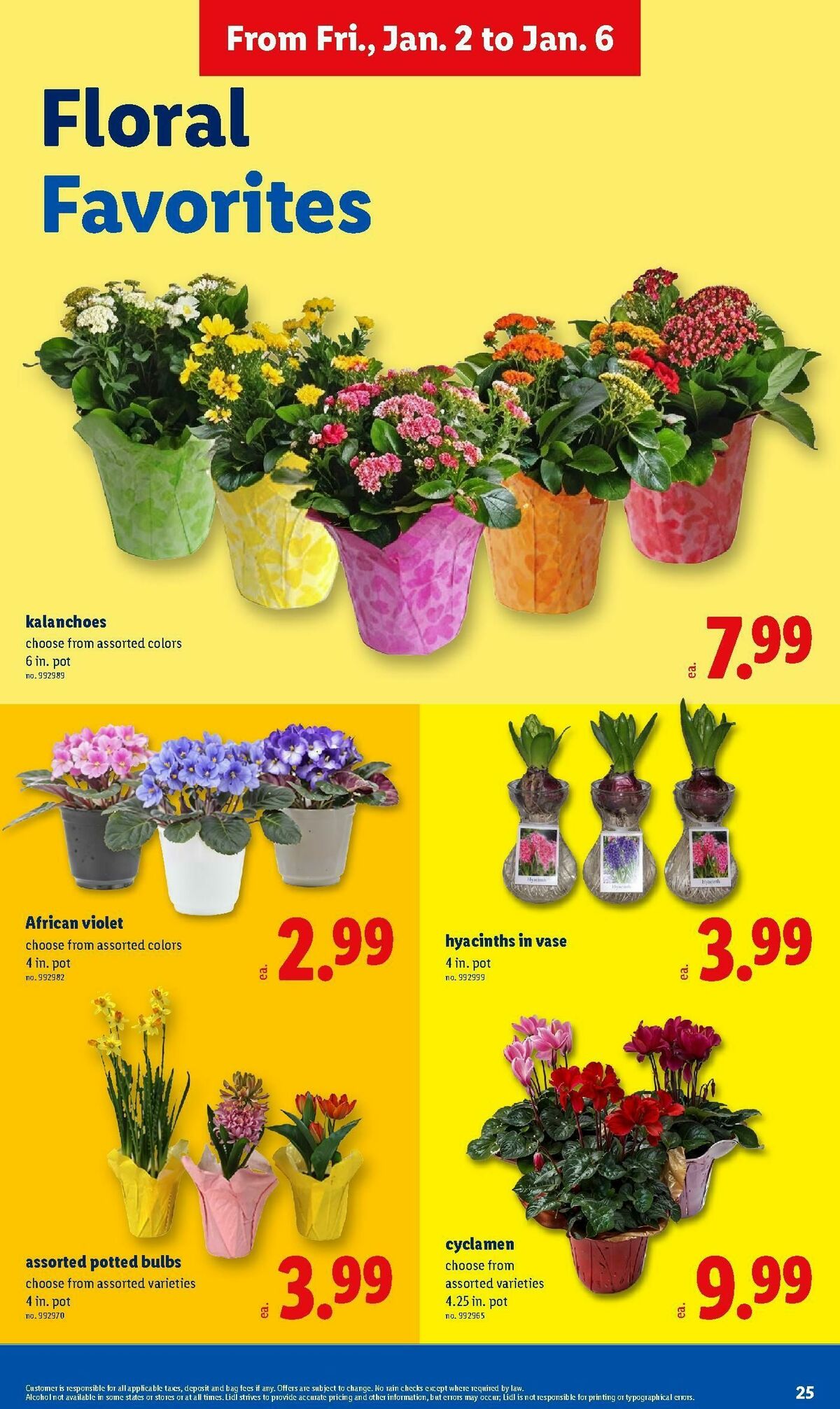 LIDL Weekly Ad from January 2