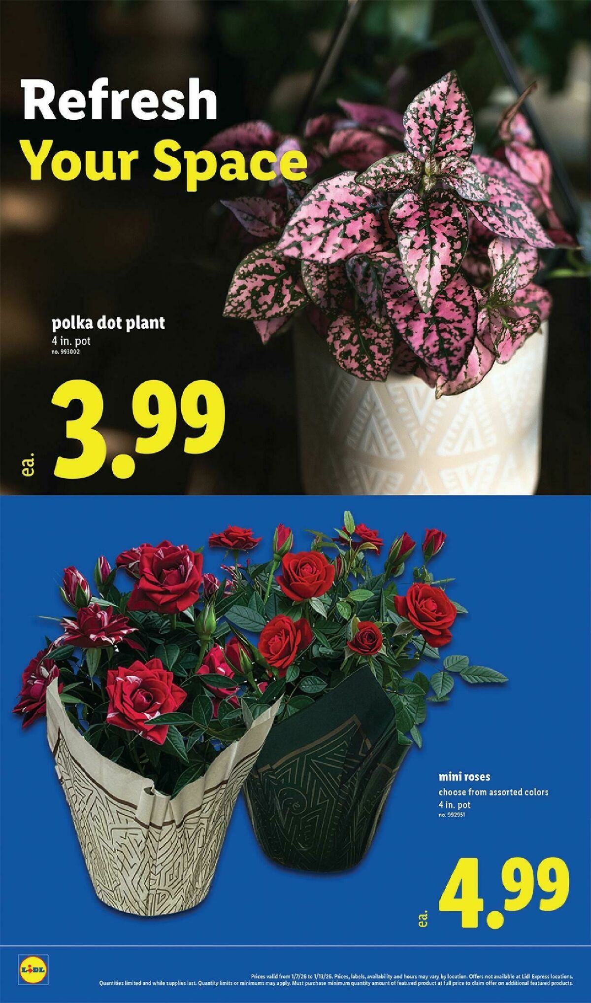 LIDL Weekly Ad from January 7