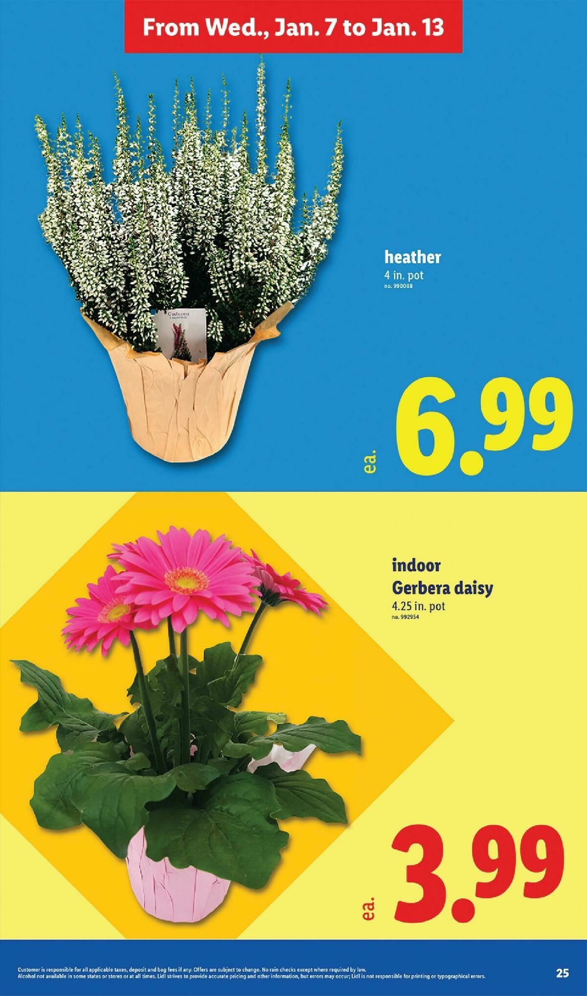 LIDL Weekly Ad from January 7