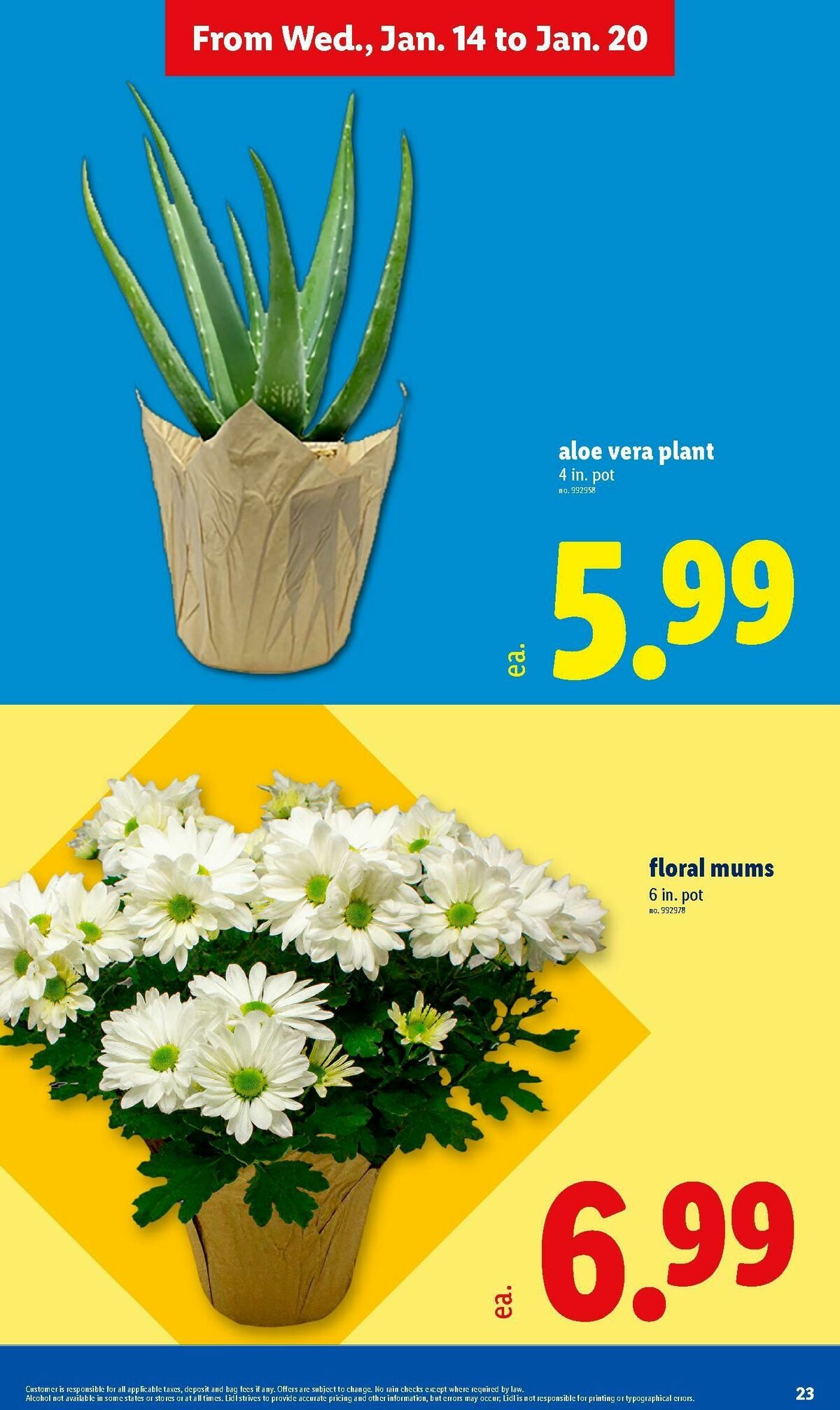 LIDL Weekly Ad from January 14
