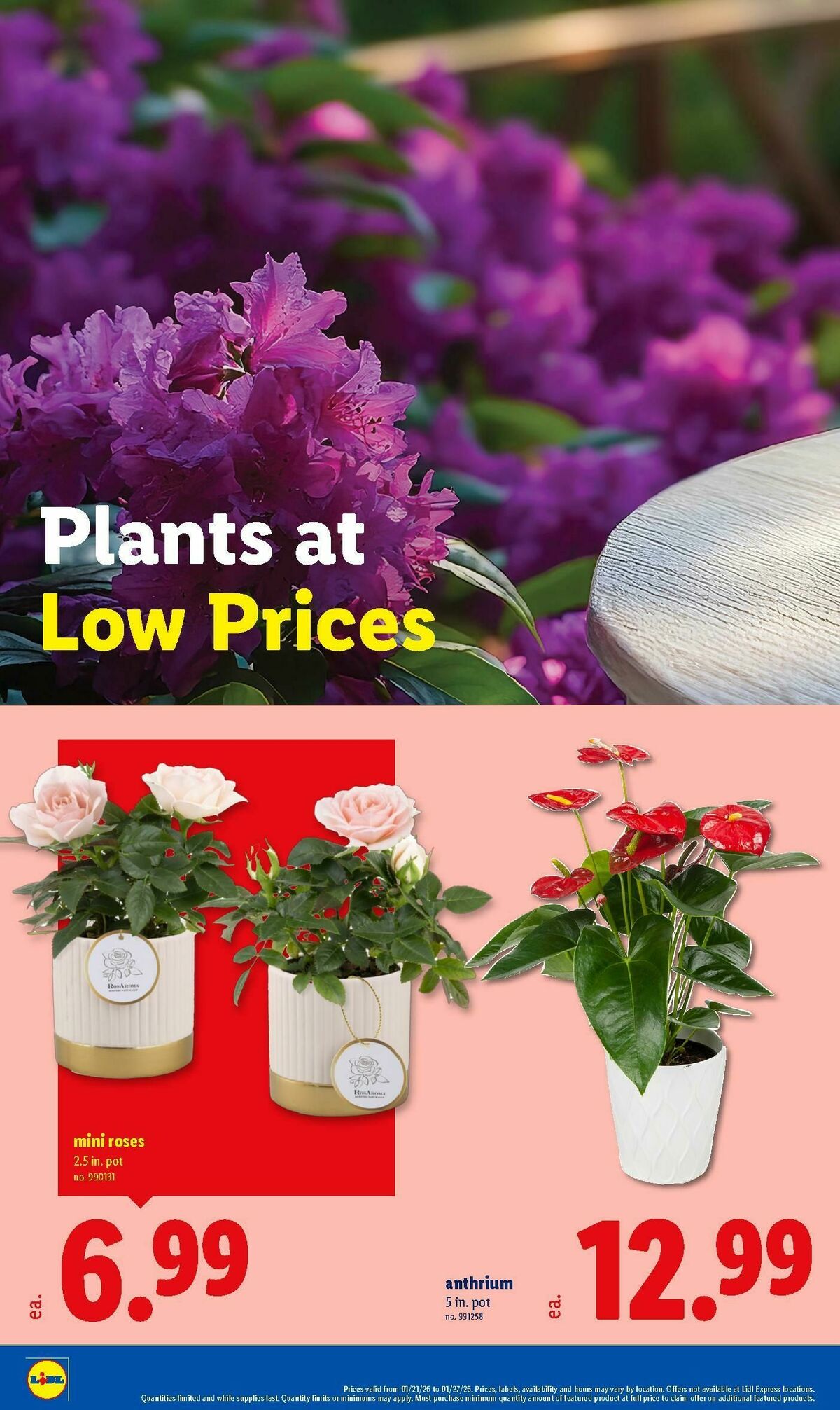 LIDL Weekly Ad from January 21