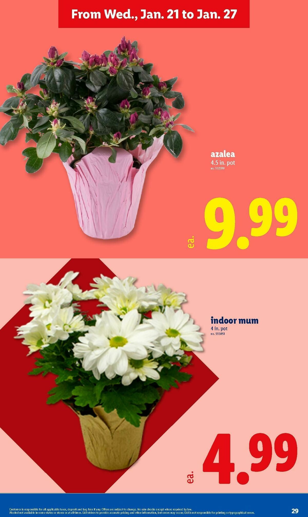 LIDL Weekly Ad from January 21
