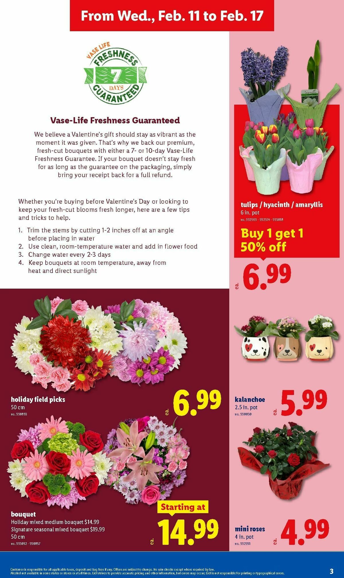 LIDL Weekly Ad from February 11