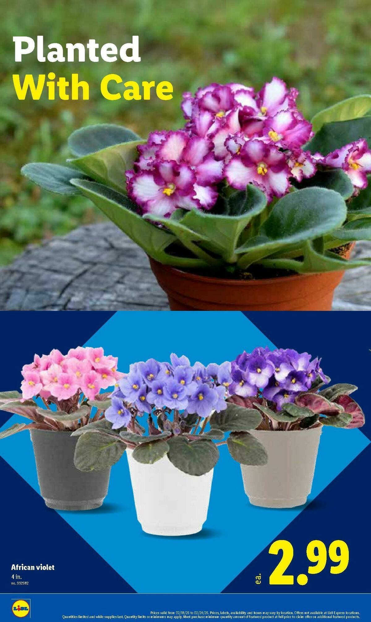 LIDL Weekly Ad from February 18