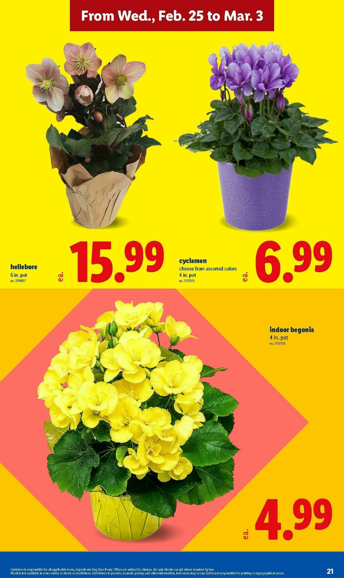 LIDL Weekly Ad from February 25