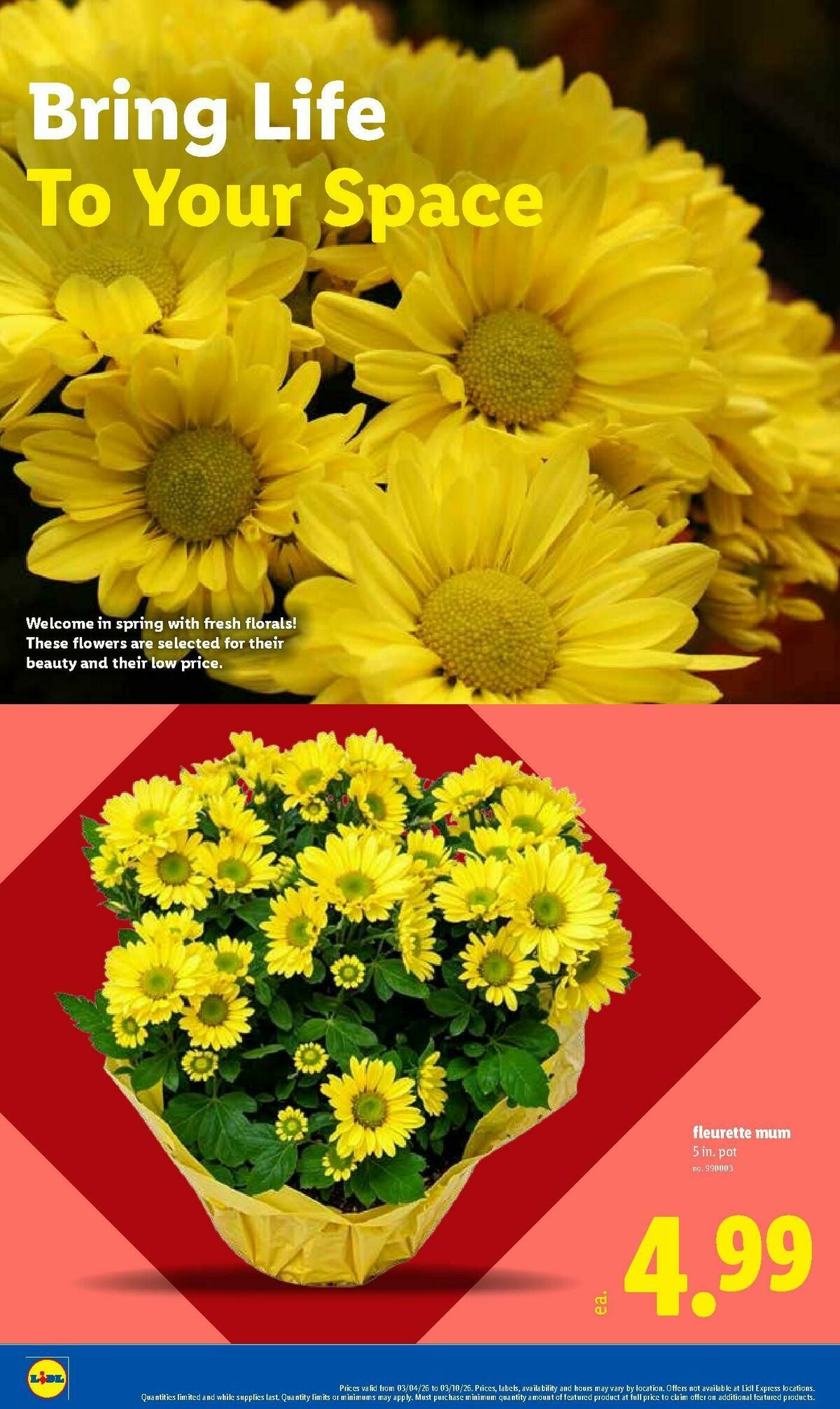 LIDL Weekly Ad from March 4