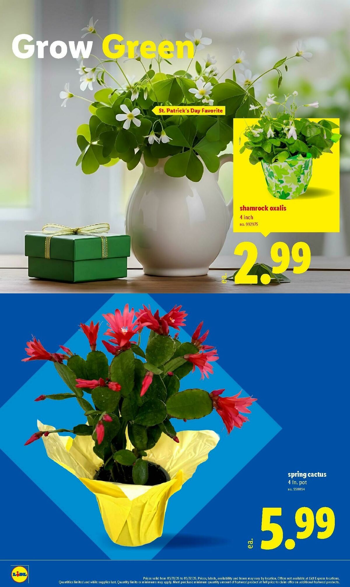 LIDL Weekly Ad from March 11