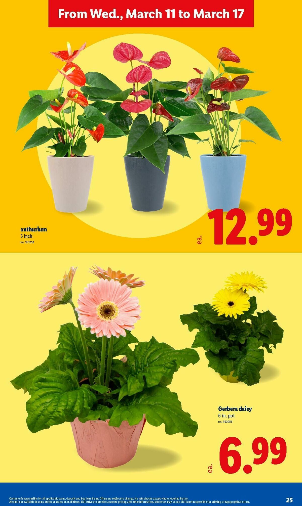 LIDL Weekly Ad from March 11