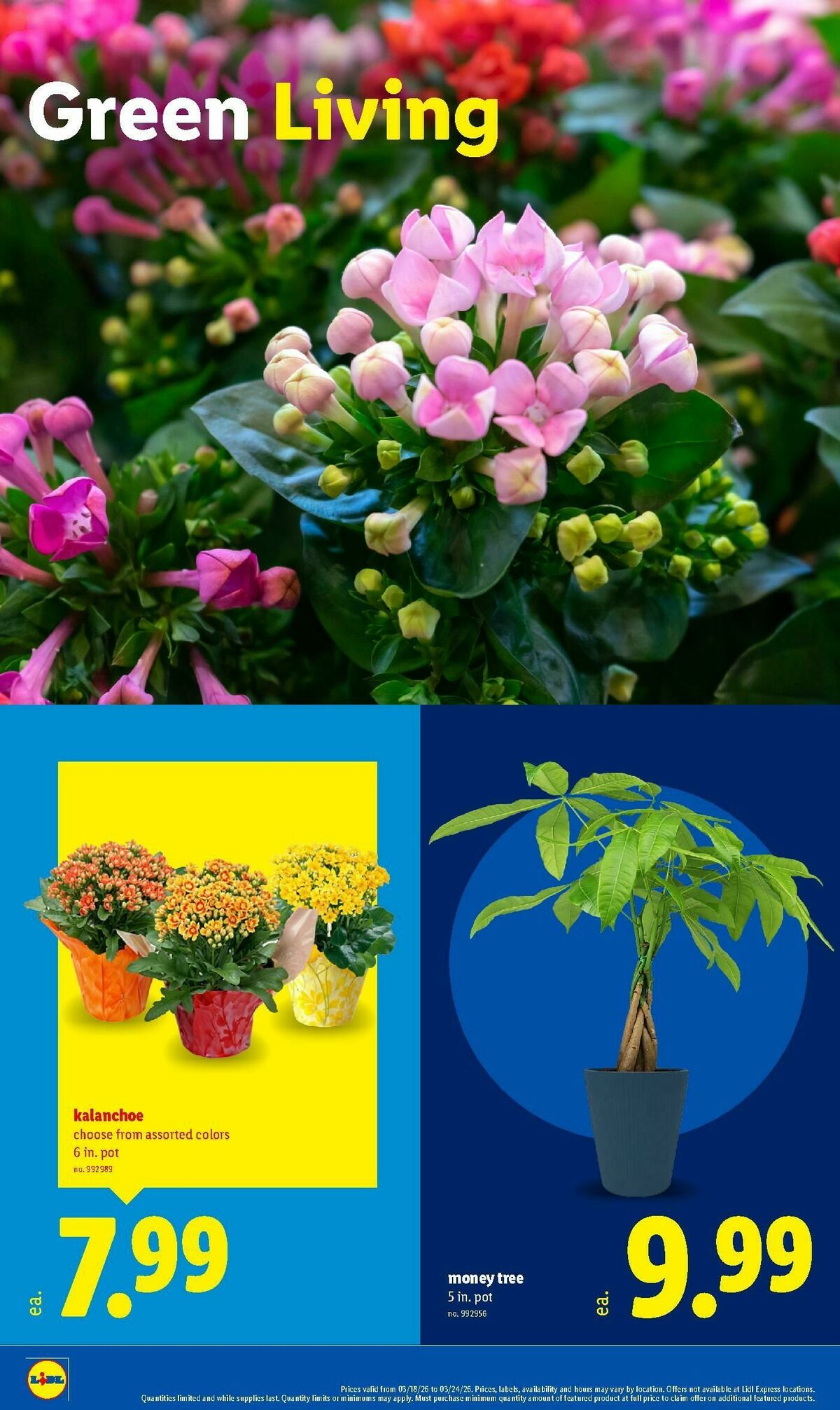 LIDL Weekly Ad from March 18