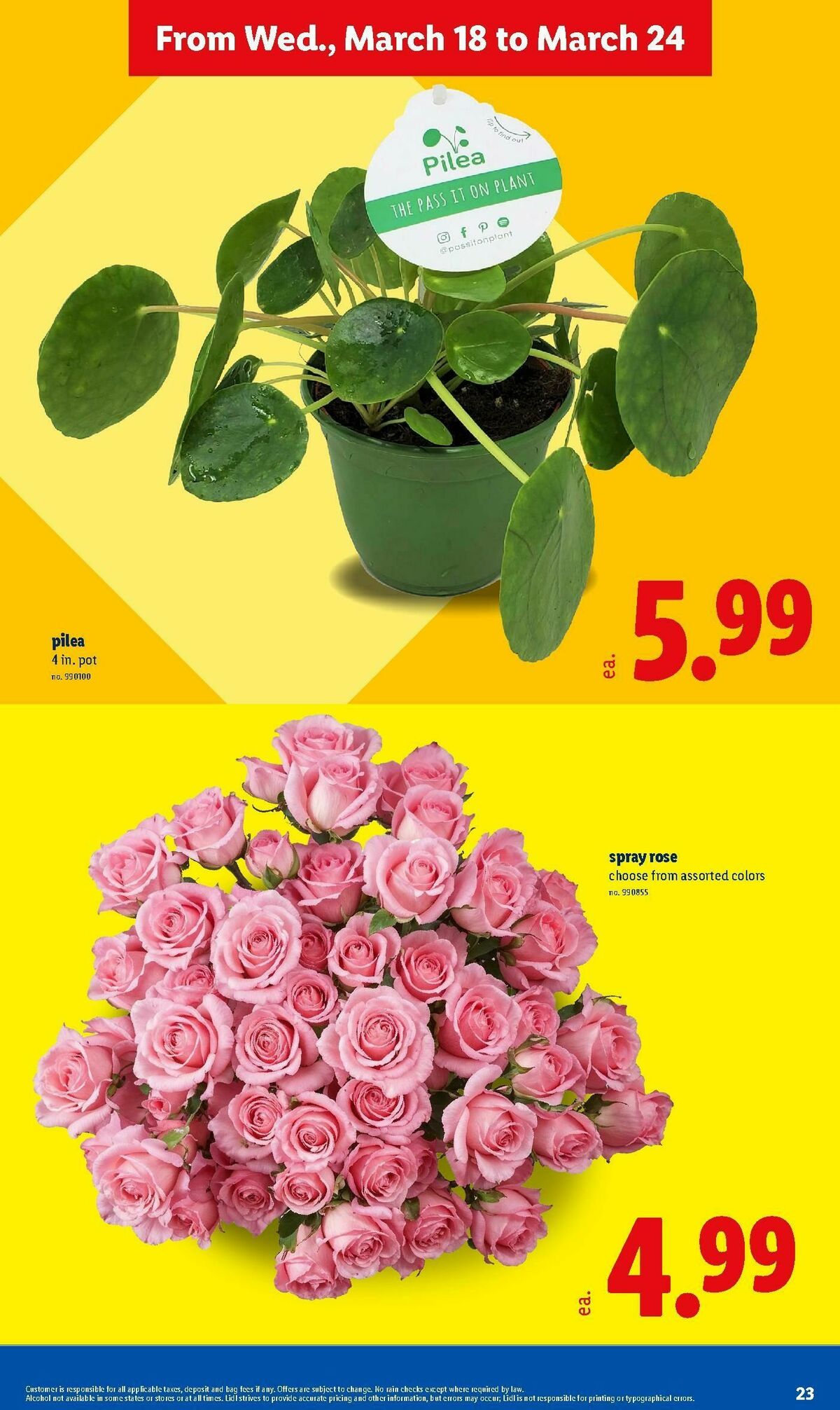 LIDL Weekly Ad from March 18