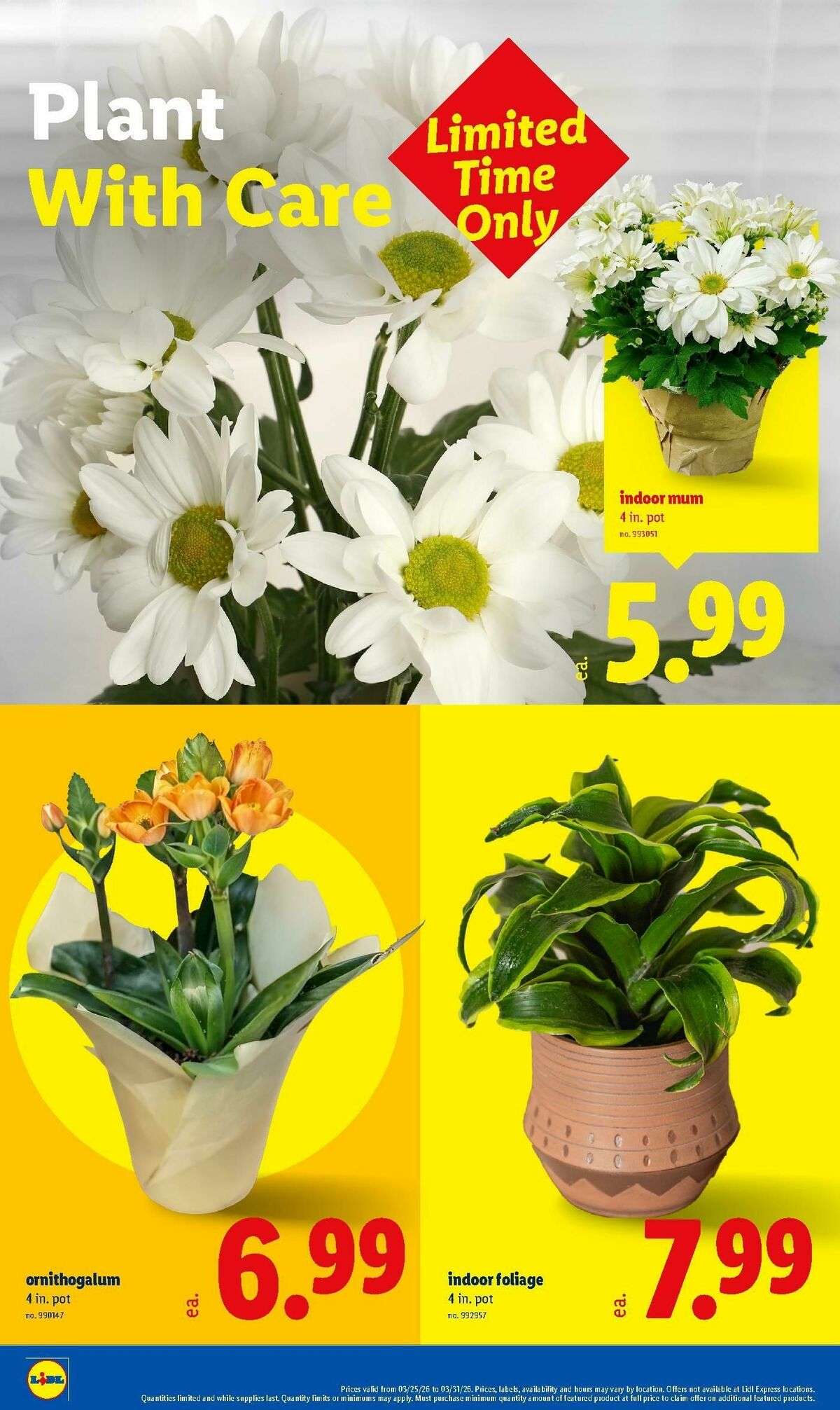 LIDL Weekly Ad from March 25