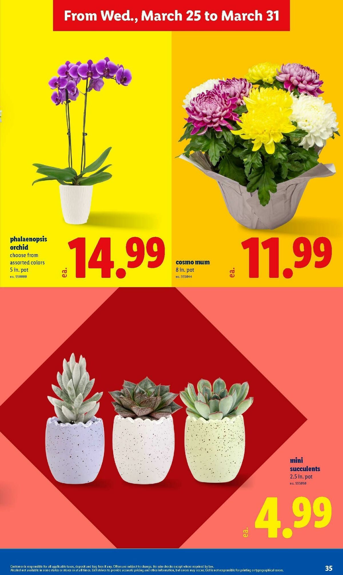 LIDL Weekly Ad from March 25