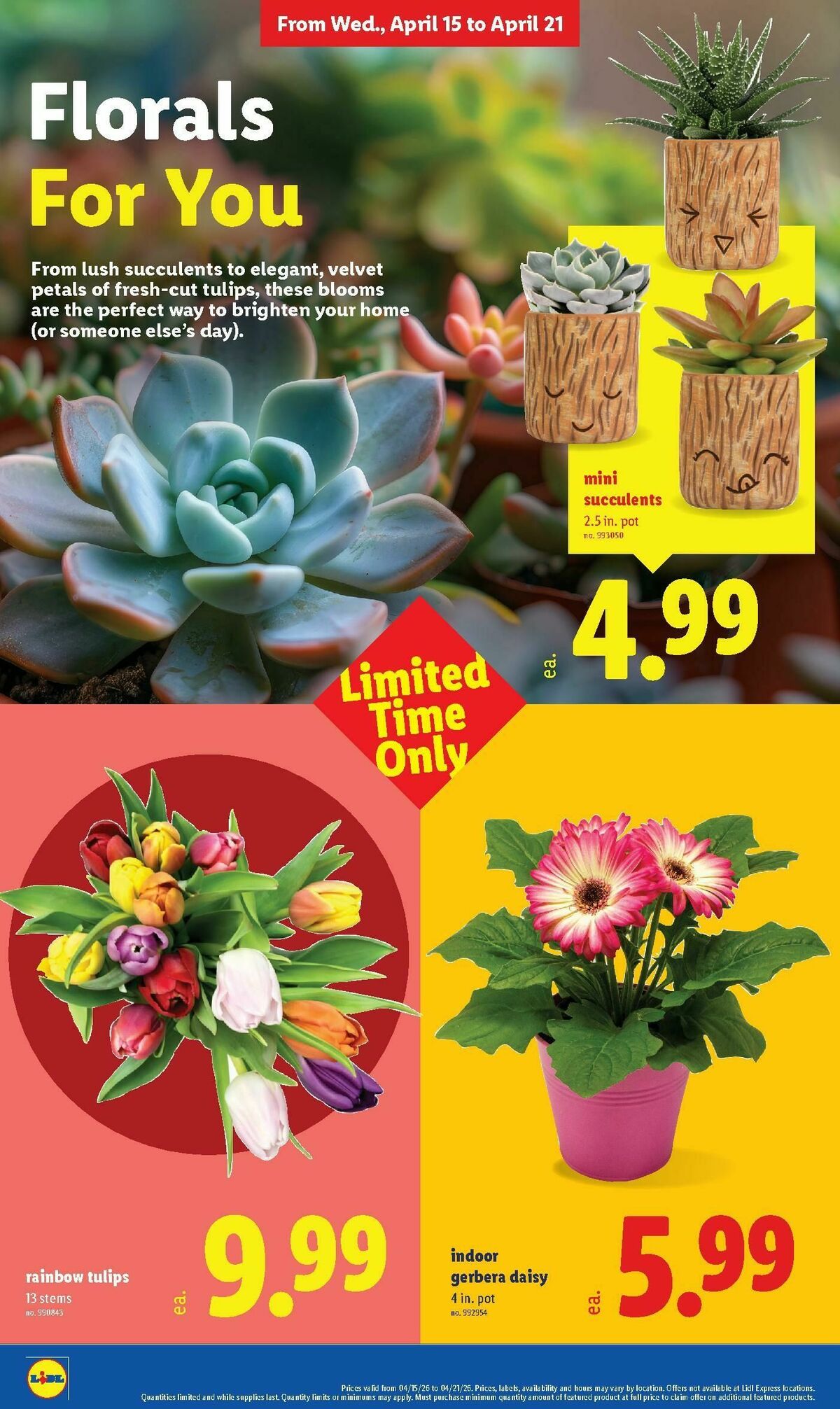 LIDL Weekly Ad from April 15