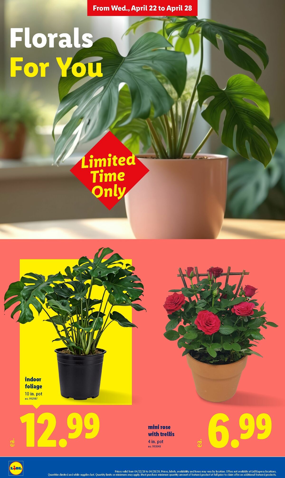 LIDL Weekly Ad from April 22