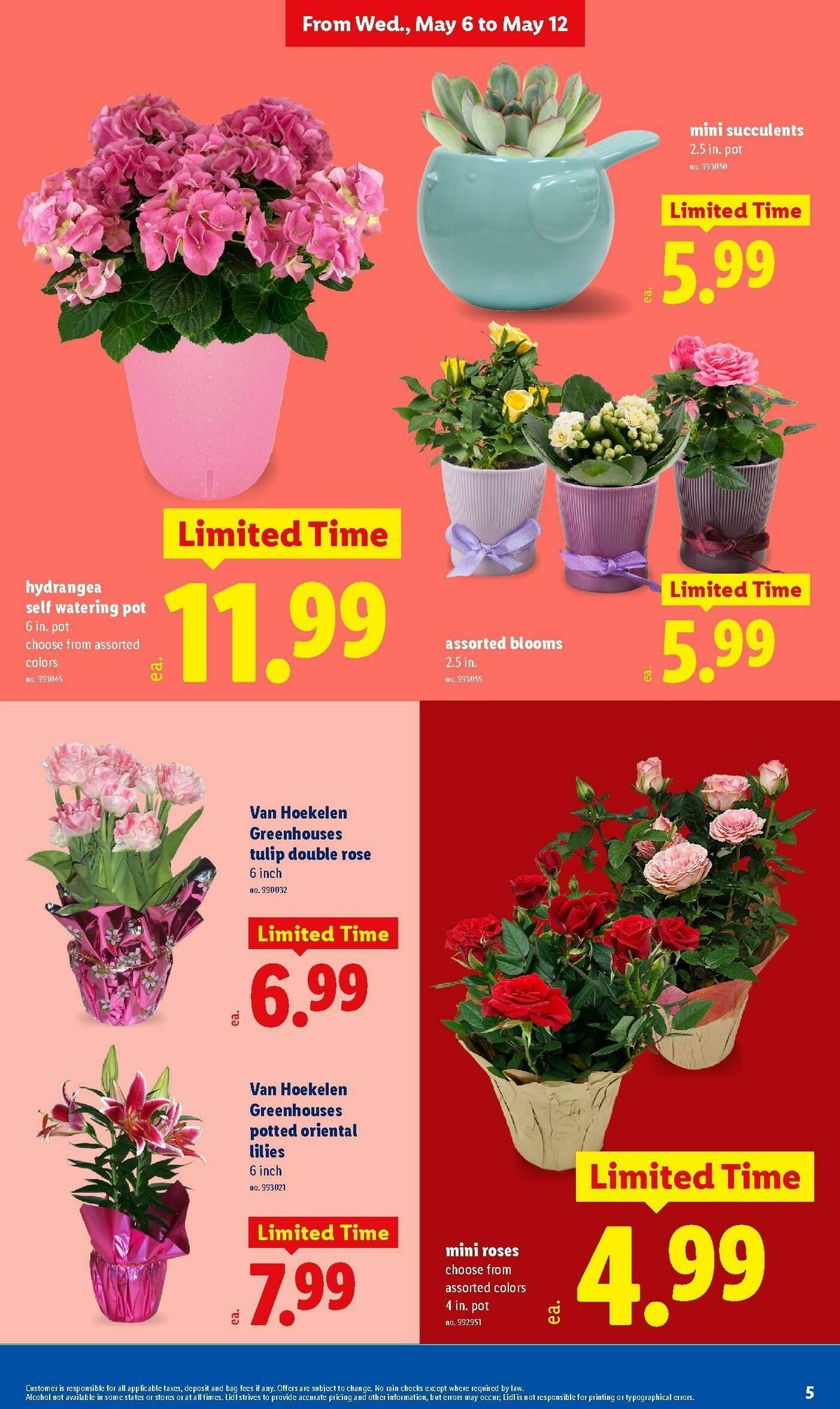 LIDL Weekly Ad from May 6