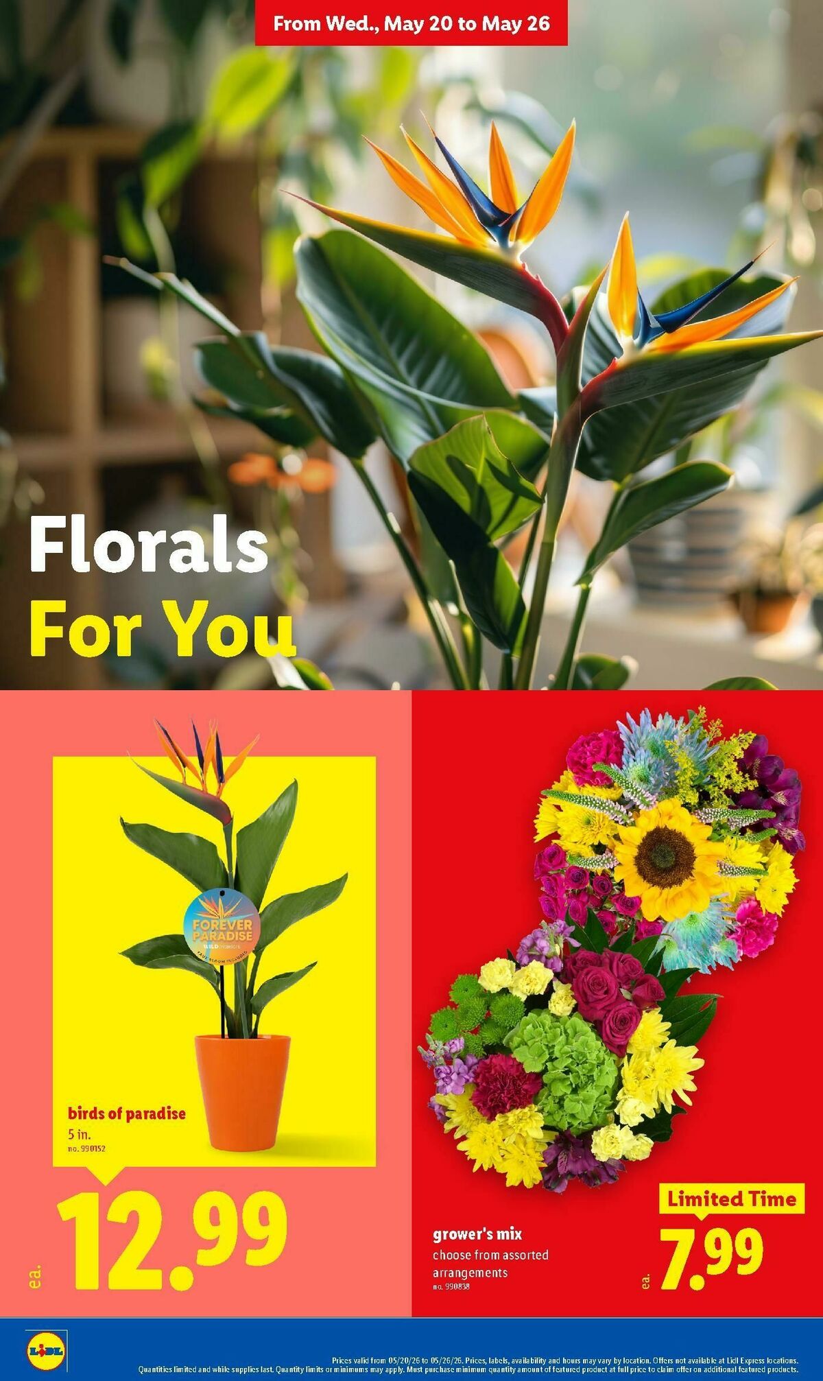 LIDL Weekly Ad from May 20