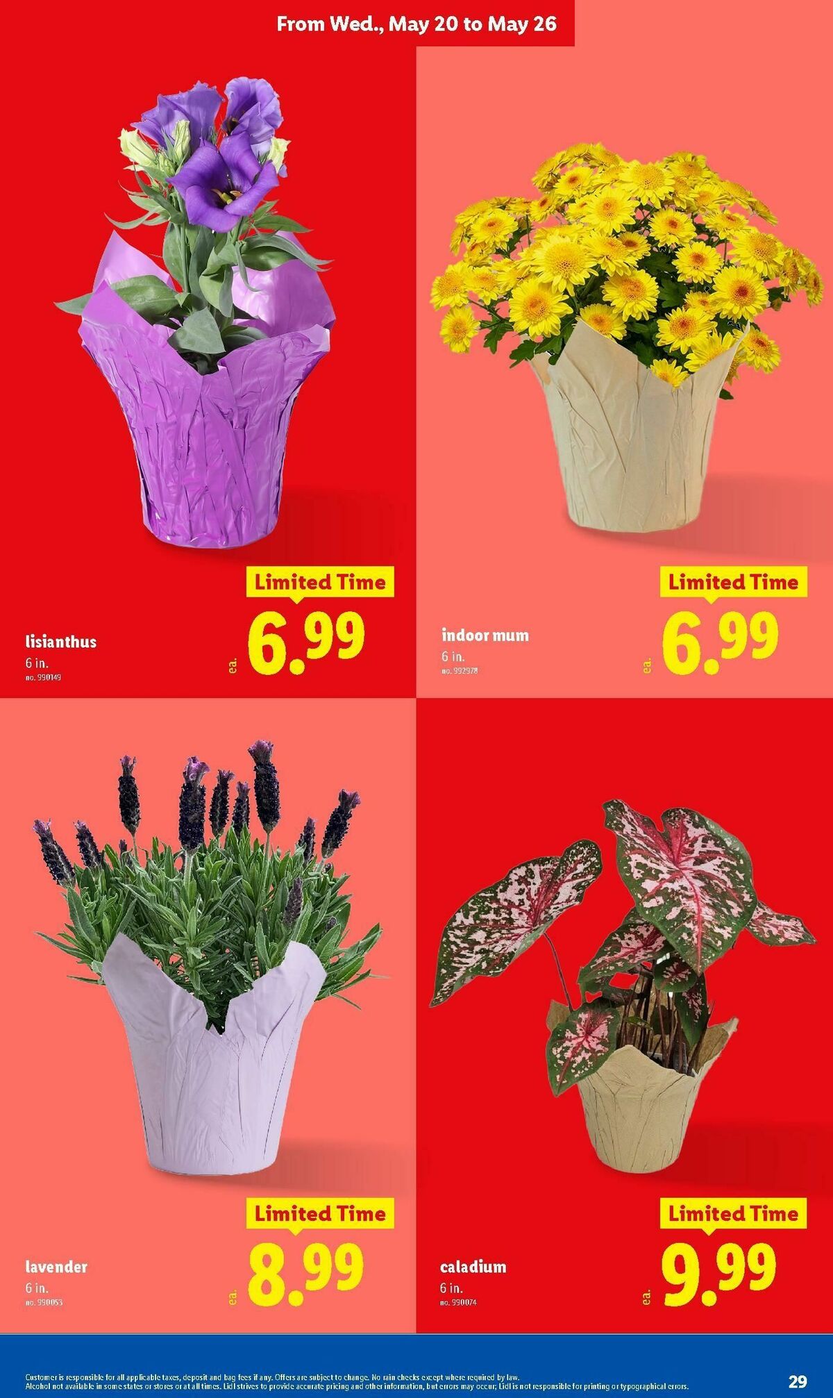 LIDL Weekly Ad from May 20
