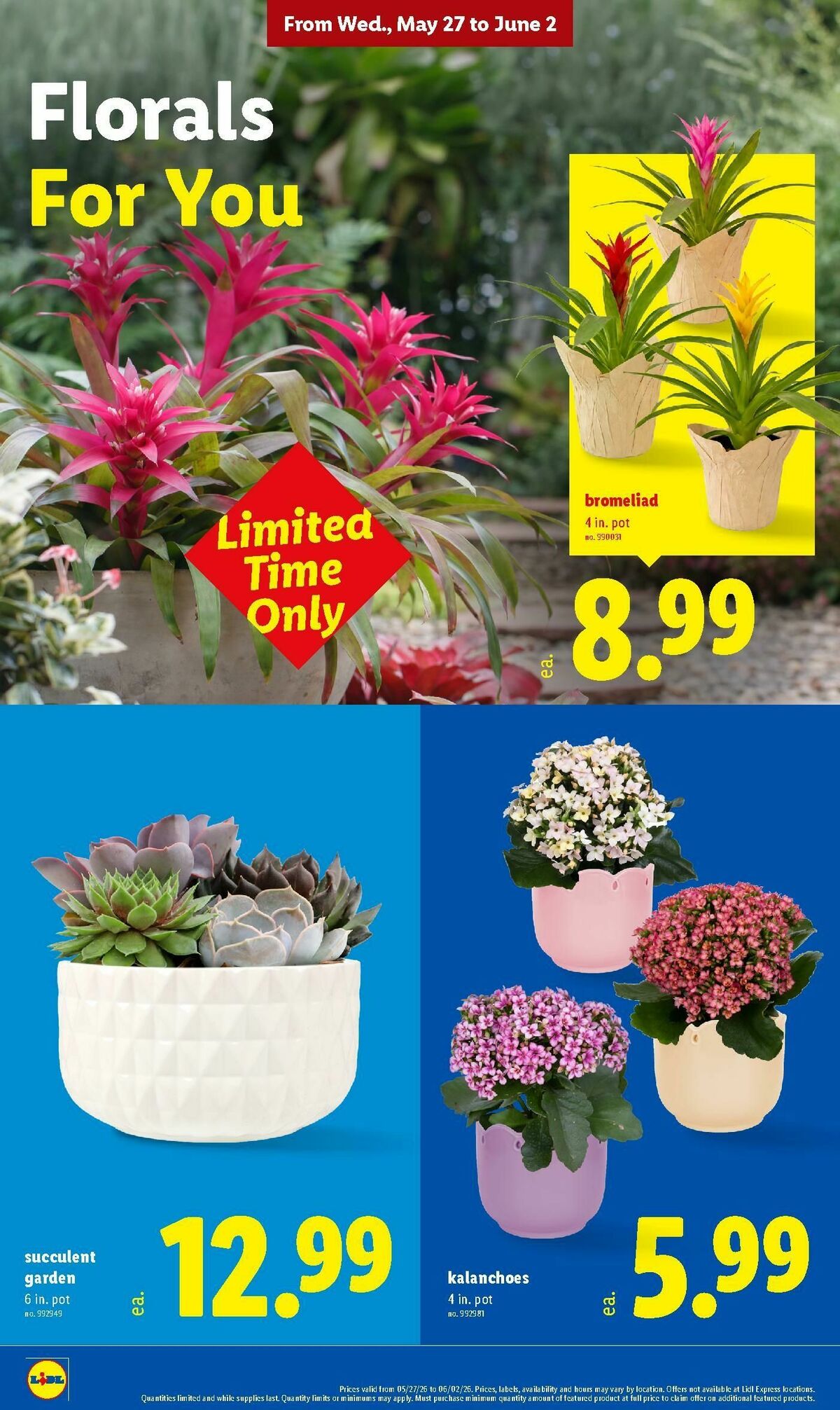 LIDL Weekly Ad from May 27