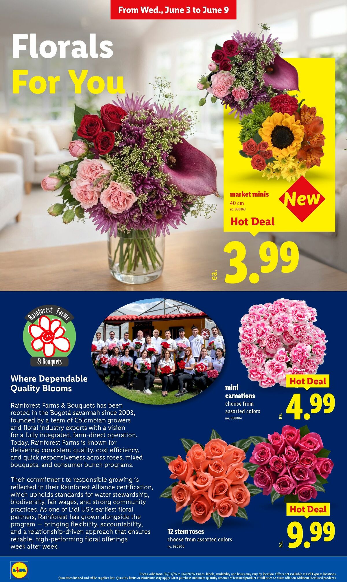 LIDL Weekly Ad from June 3