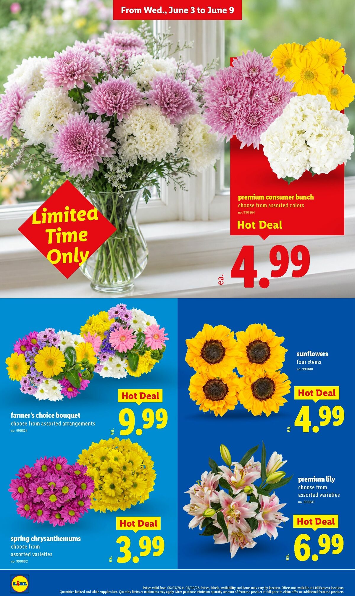 LIDL Weekly Ad from June 3