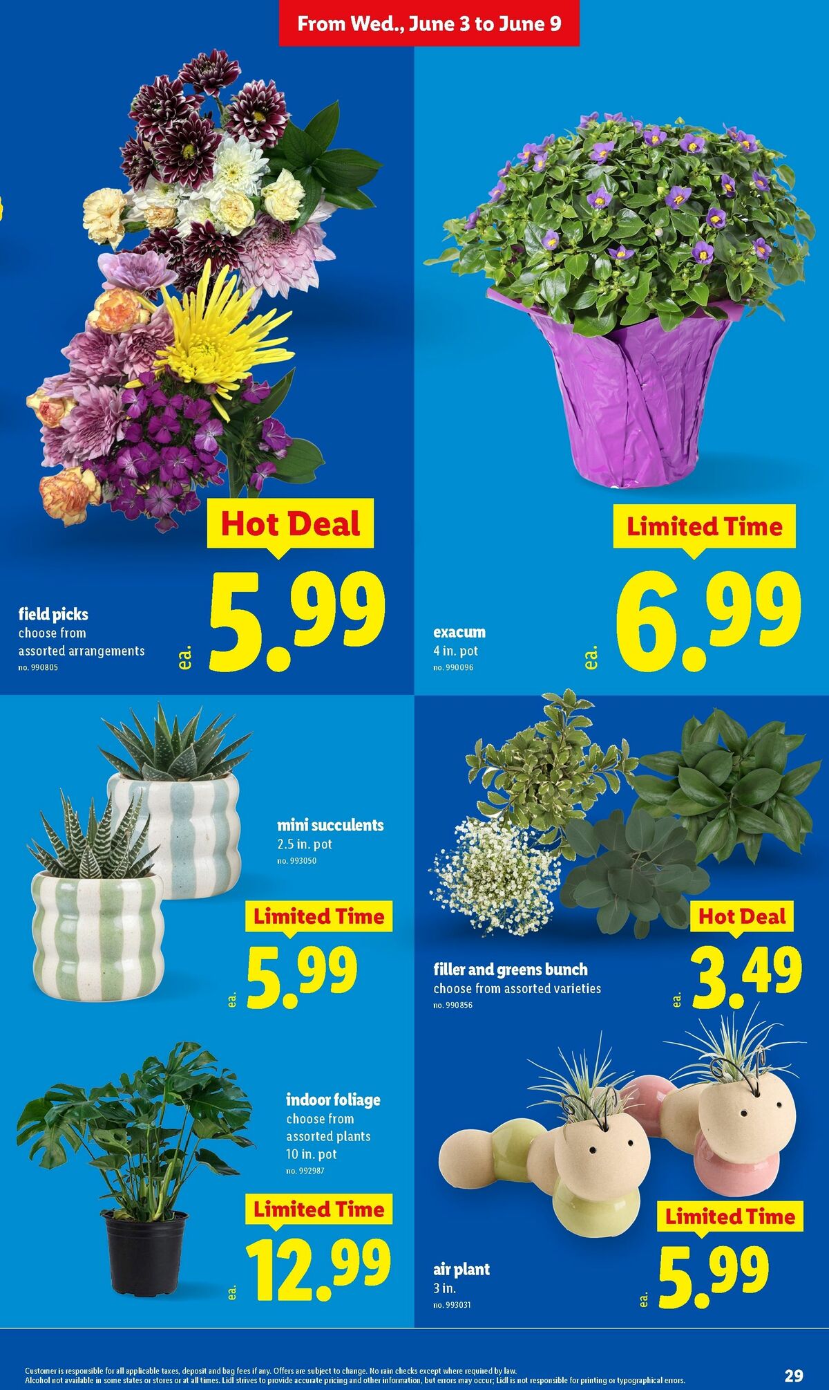 LIDL Weekly Ad from June 3