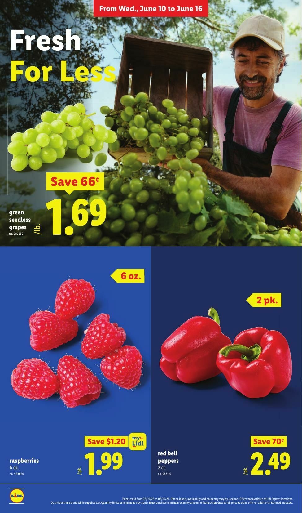 LIDL Weekly Ad from June 10