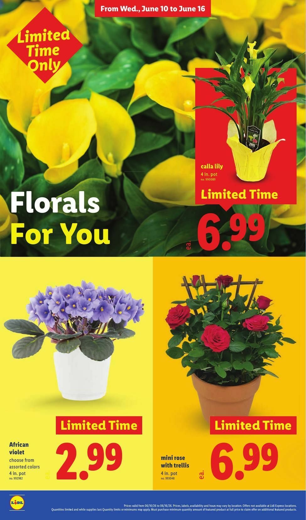 LIDL Weekly Ad from June 10